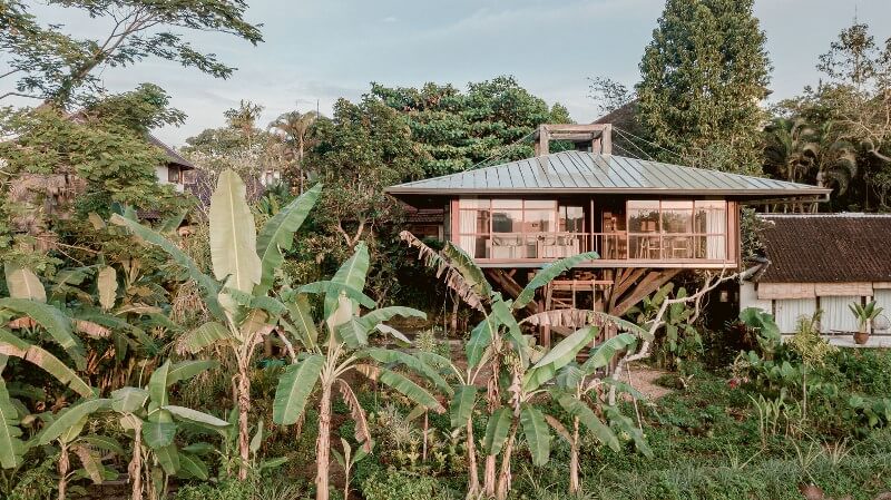 Wooden Treehouse C Maintains Coexistence with Nature