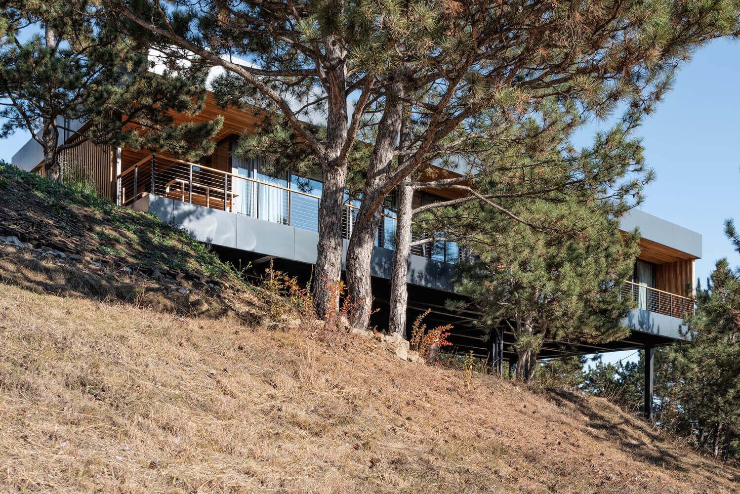 Hillside House | TWO+