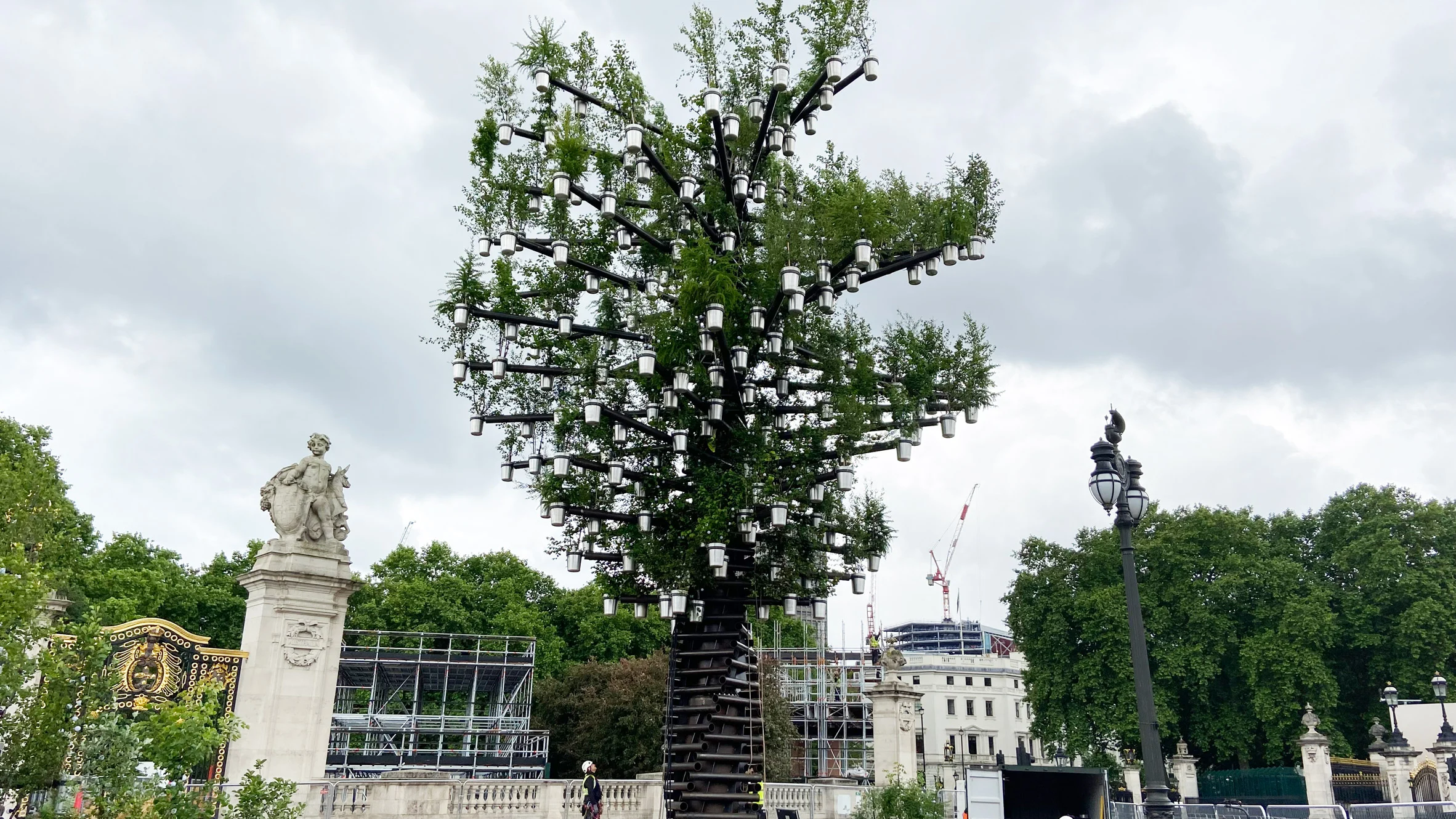 Tree of Trees: Sculpture of 350 Living to Celebrate Queen's Jubilee