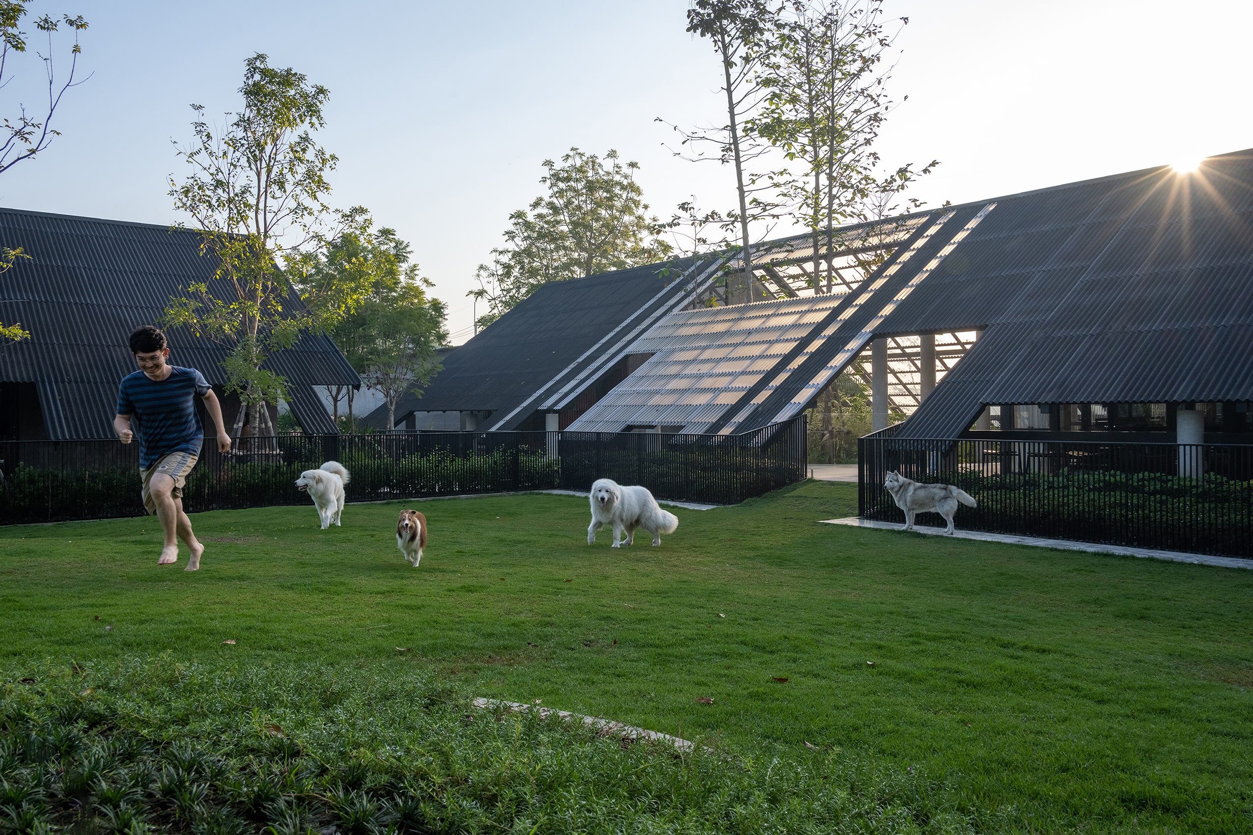 Dog/Human House: An Architecture That Can Honor Every Life in It
