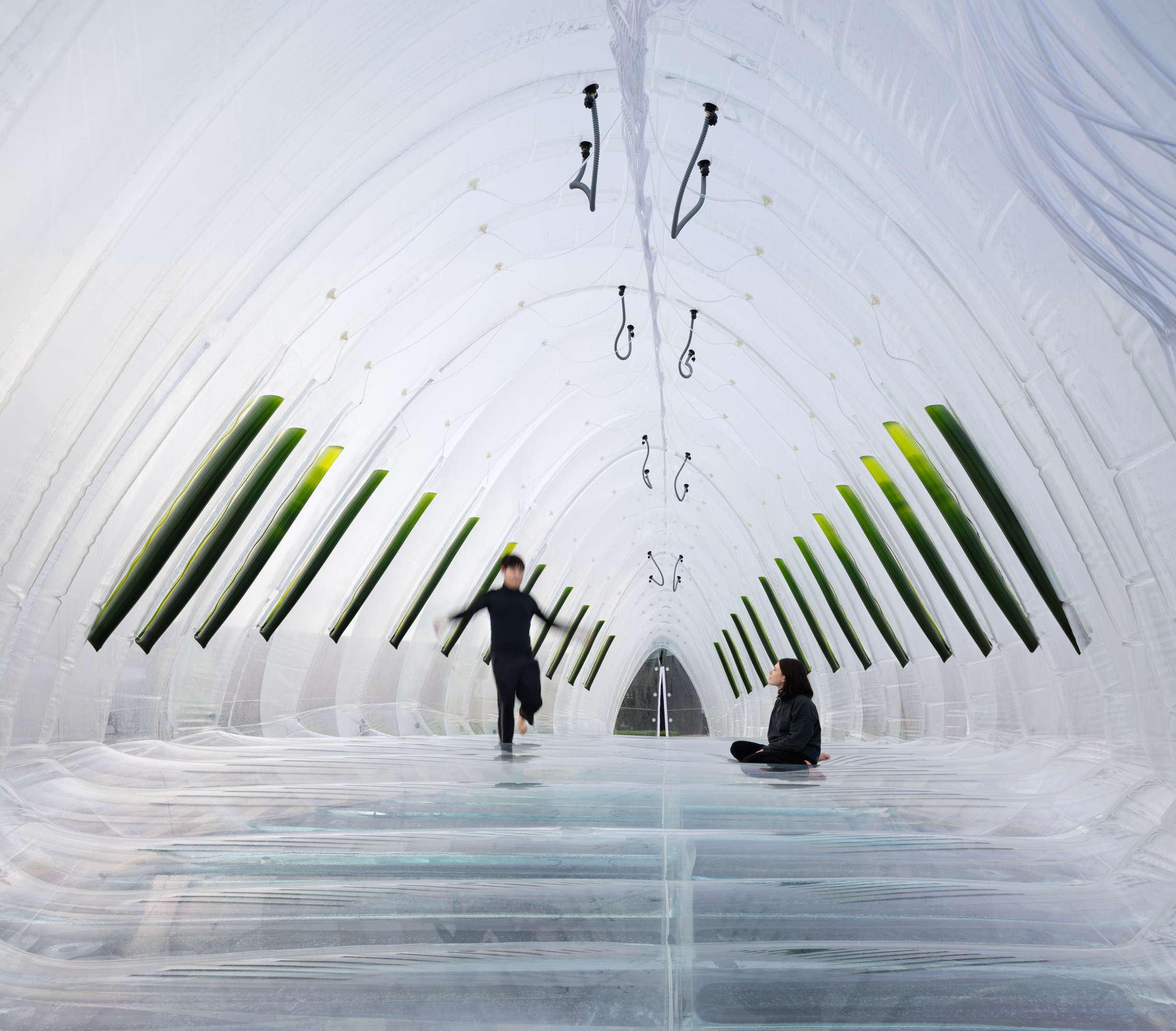 Air Bubble' Installation: A Symbiosis of Architecture & Microorganisms