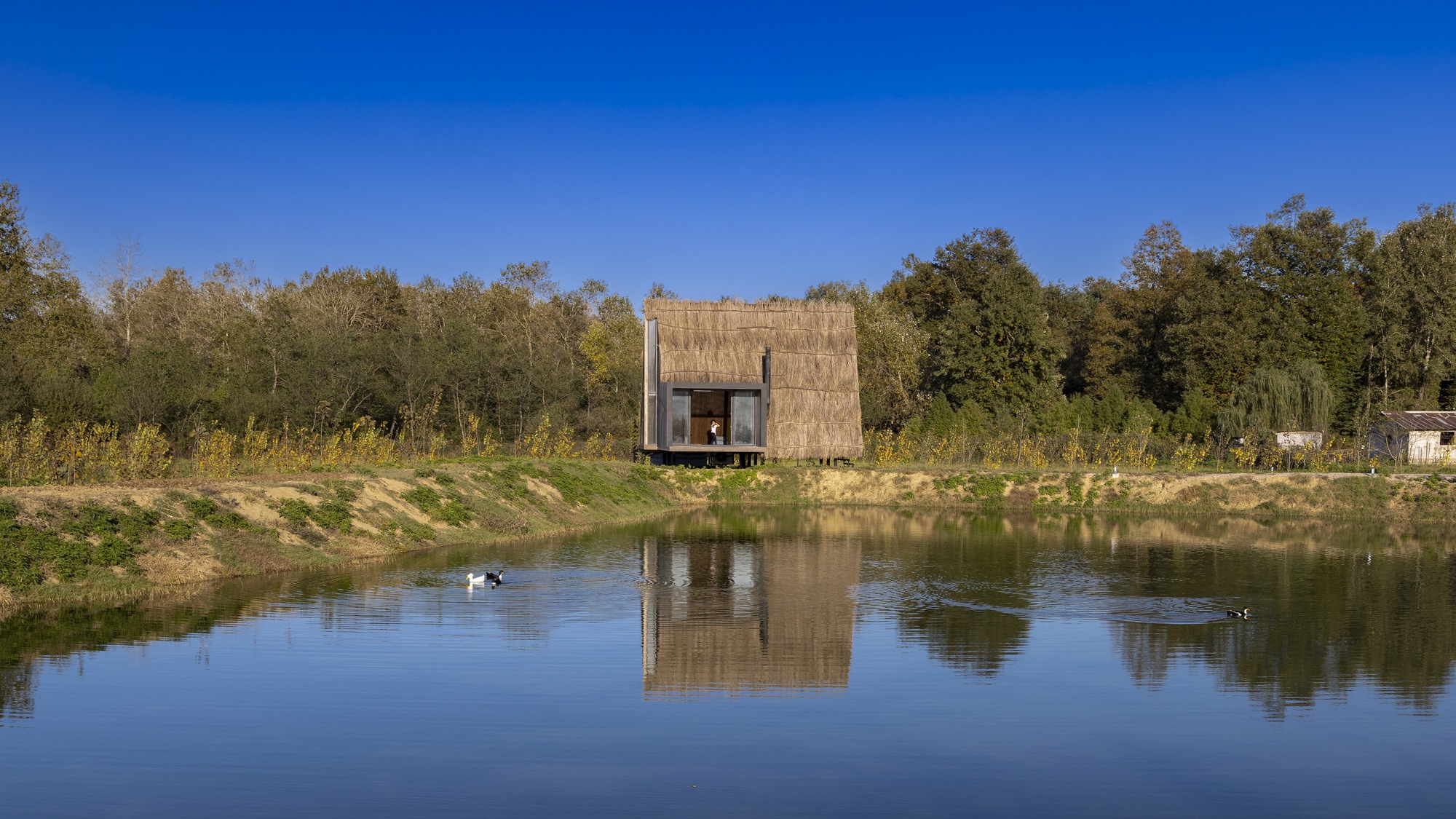 A Blend of Locality and Contemporary in a 50 square meter Cabin House