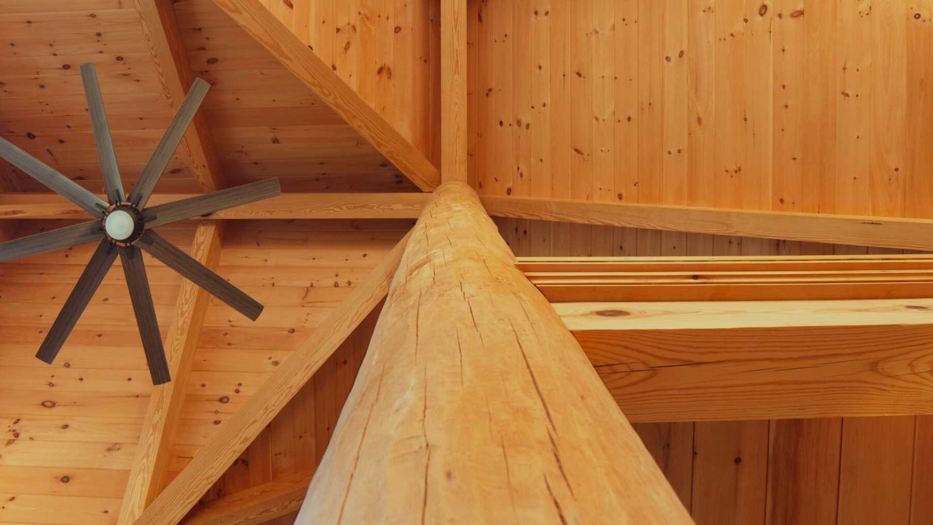 Timber's Resilience: Challenges and Opportunities