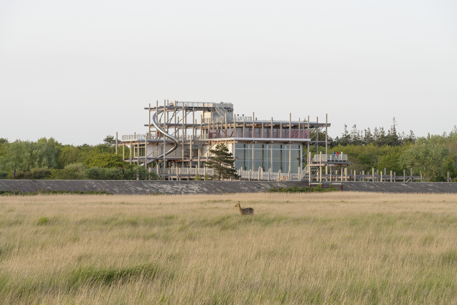 Erlebnis-Hus: A Grid Structure Left “Unfinished” in the Seaside Area in Germany