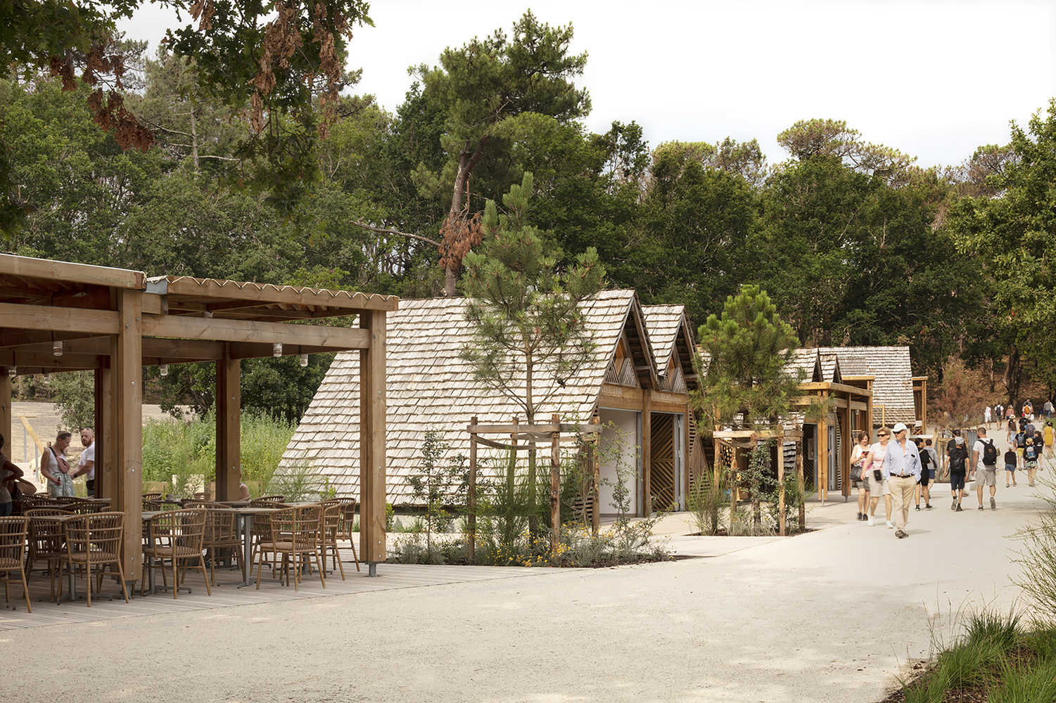 Grande Dune du Pilat Collaborated with AVA to Upgrade Its Visitor Center