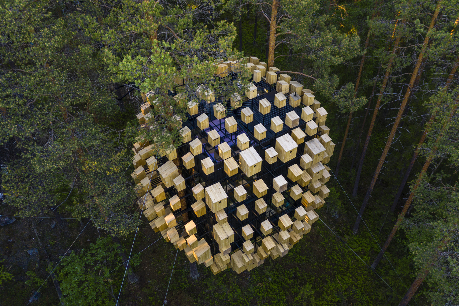 BIG’s Attempt to Invite Humans and Birds to Coexist in “Biosphere” at the Treehotel