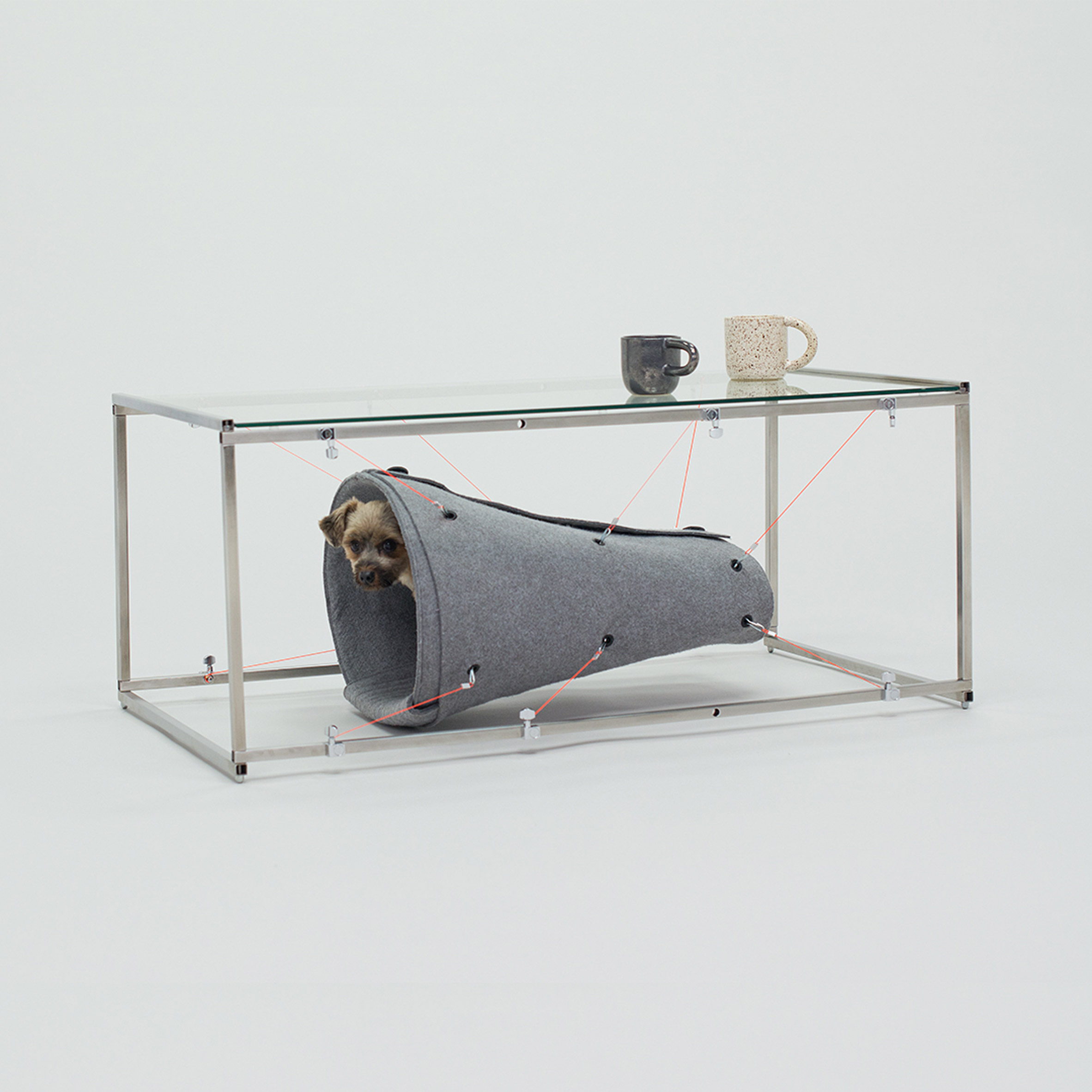 Unimaginable Cage Designs in an Architecture Exhibition for Dogs, Milan