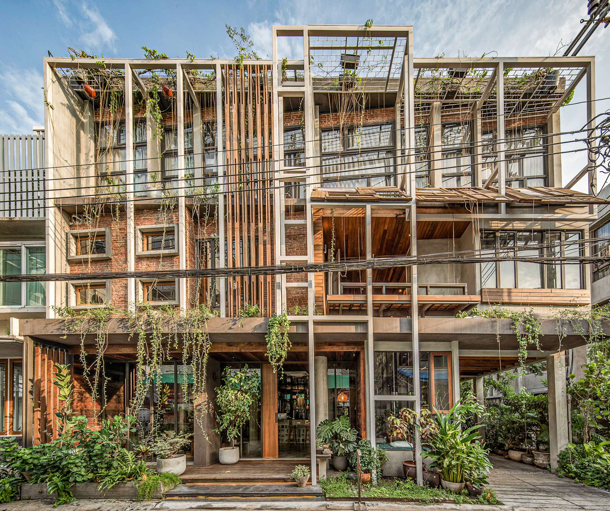 PO-D Architects Turns an Abandoned Shophouse into a Naturalist Hostel