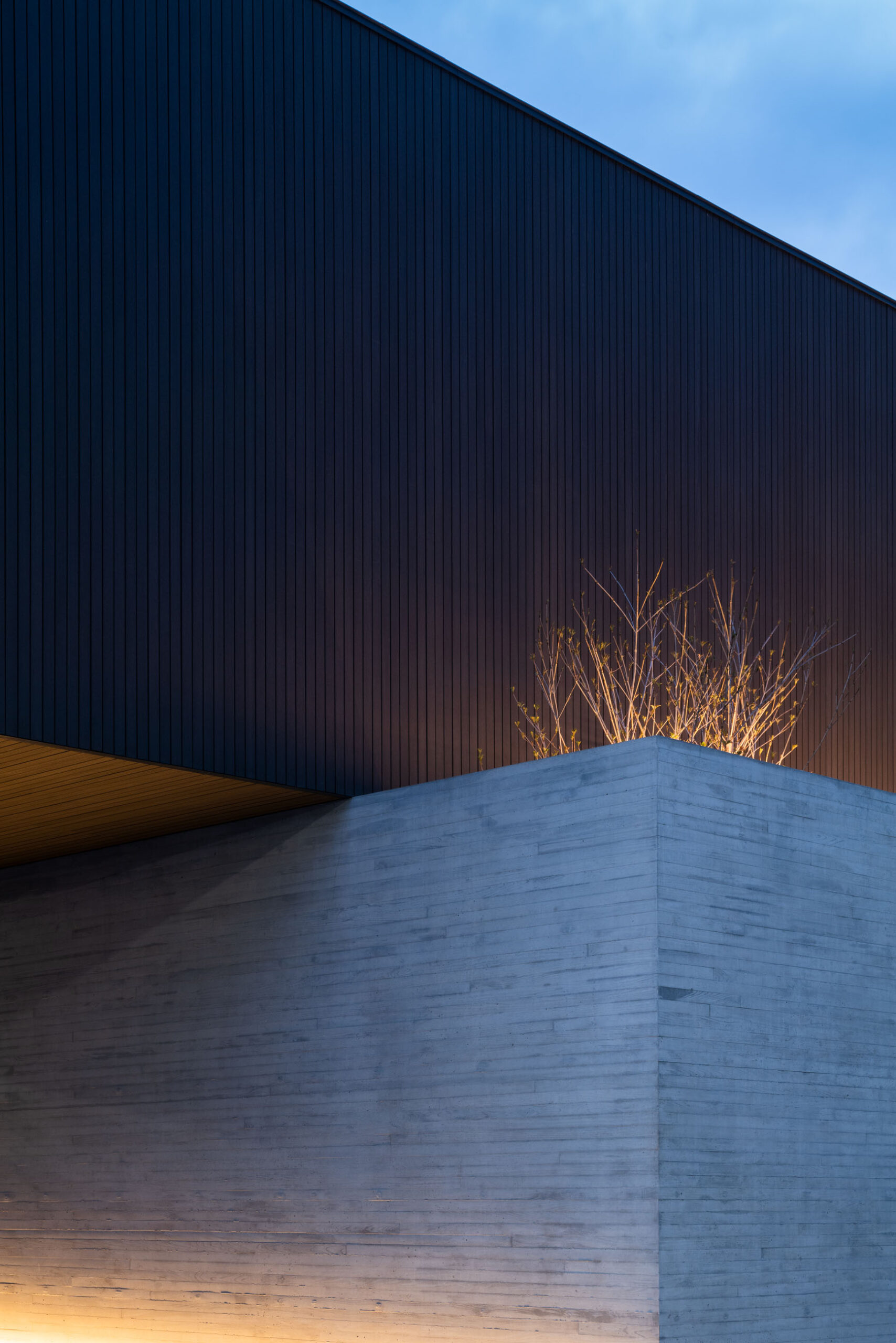 Detail exterior material Laxus House, Photo by Masao Nishikawa