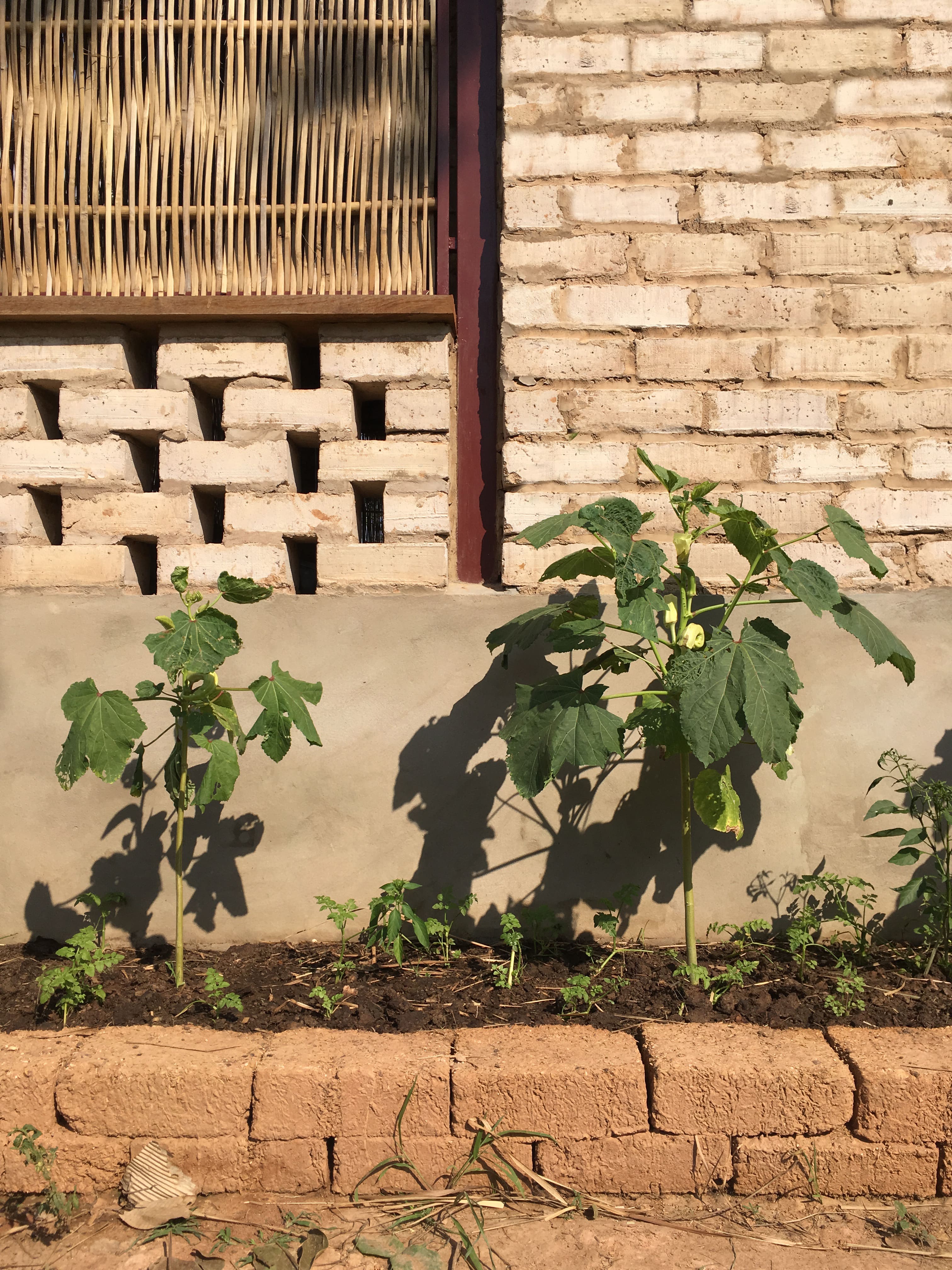 The construction of the main building consists of a steel frame with clay bricks, rice husk blocks, and bamboo woven walls