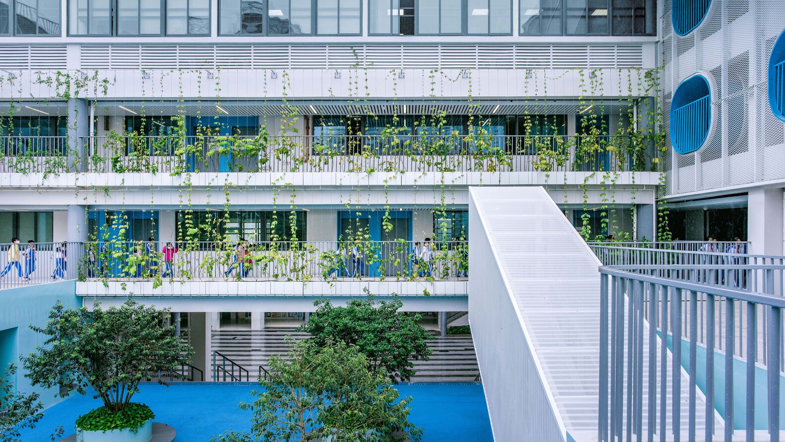 Greening in school buildings vertically