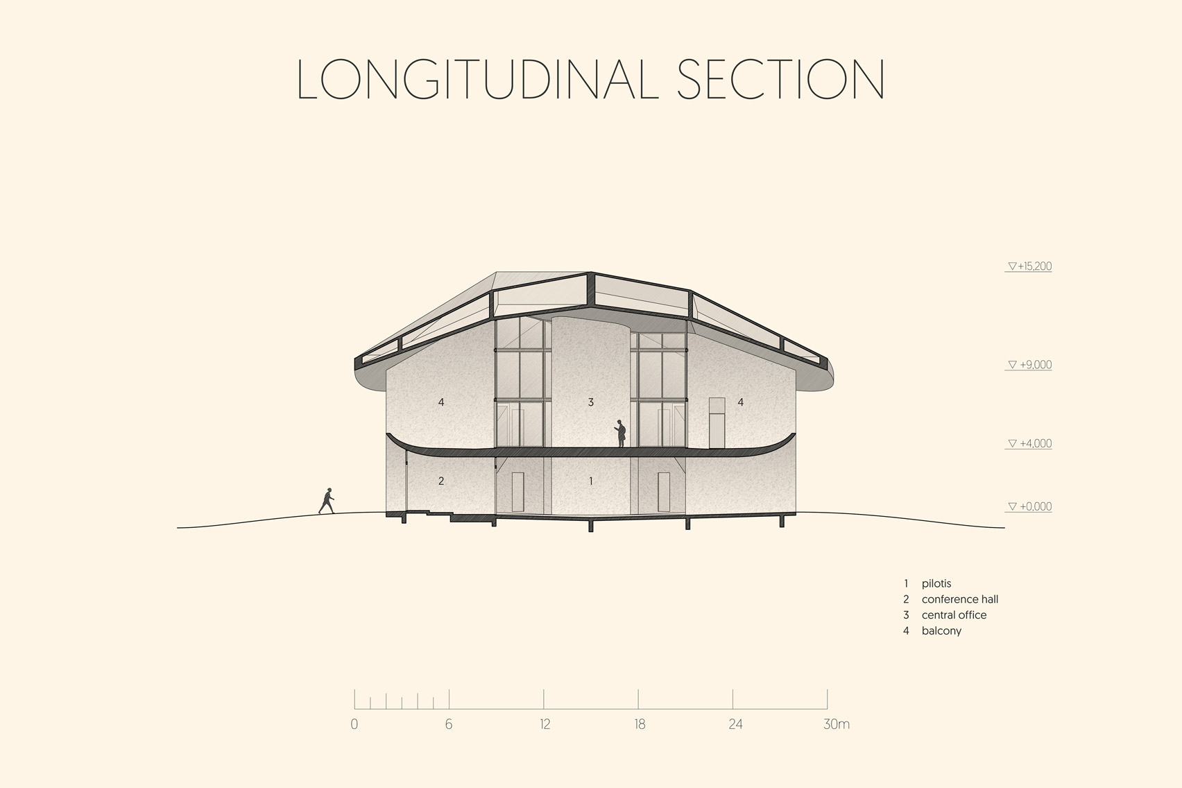 Longitudinal section
