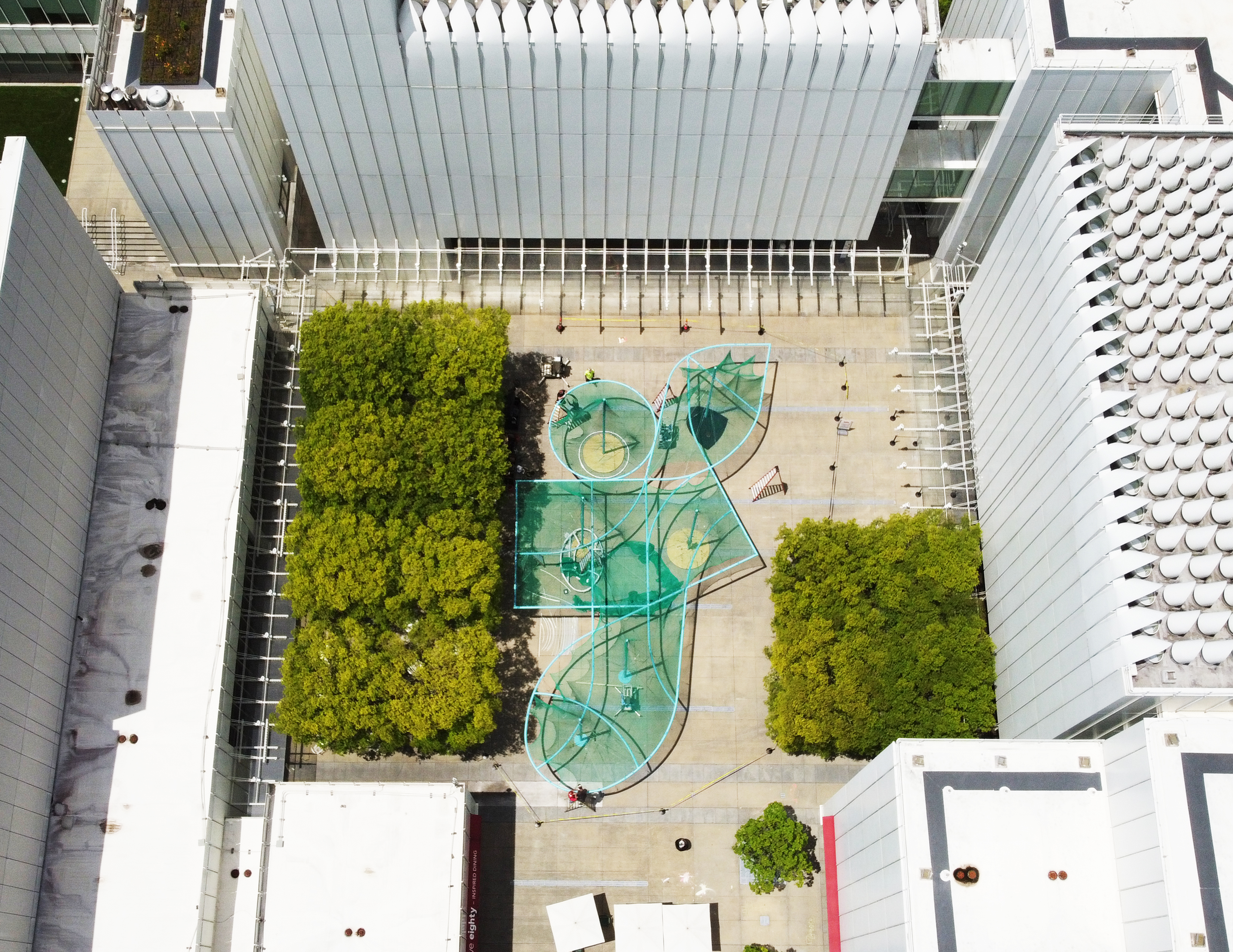 View of the installation that blends with the surrounding trees