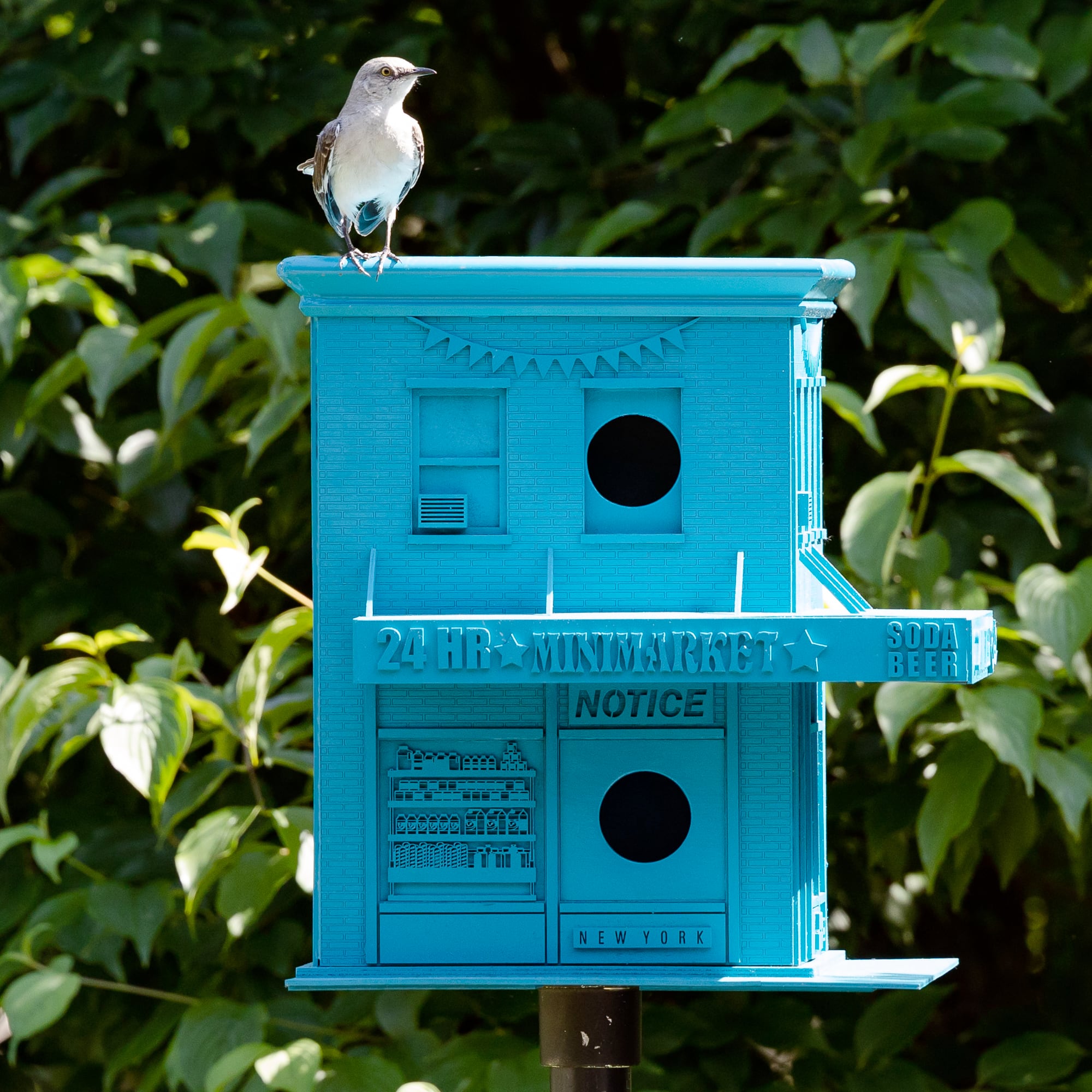 Brooklyn Botanic Garden Suddenly Filled with Dozens of Artistic Birdcages