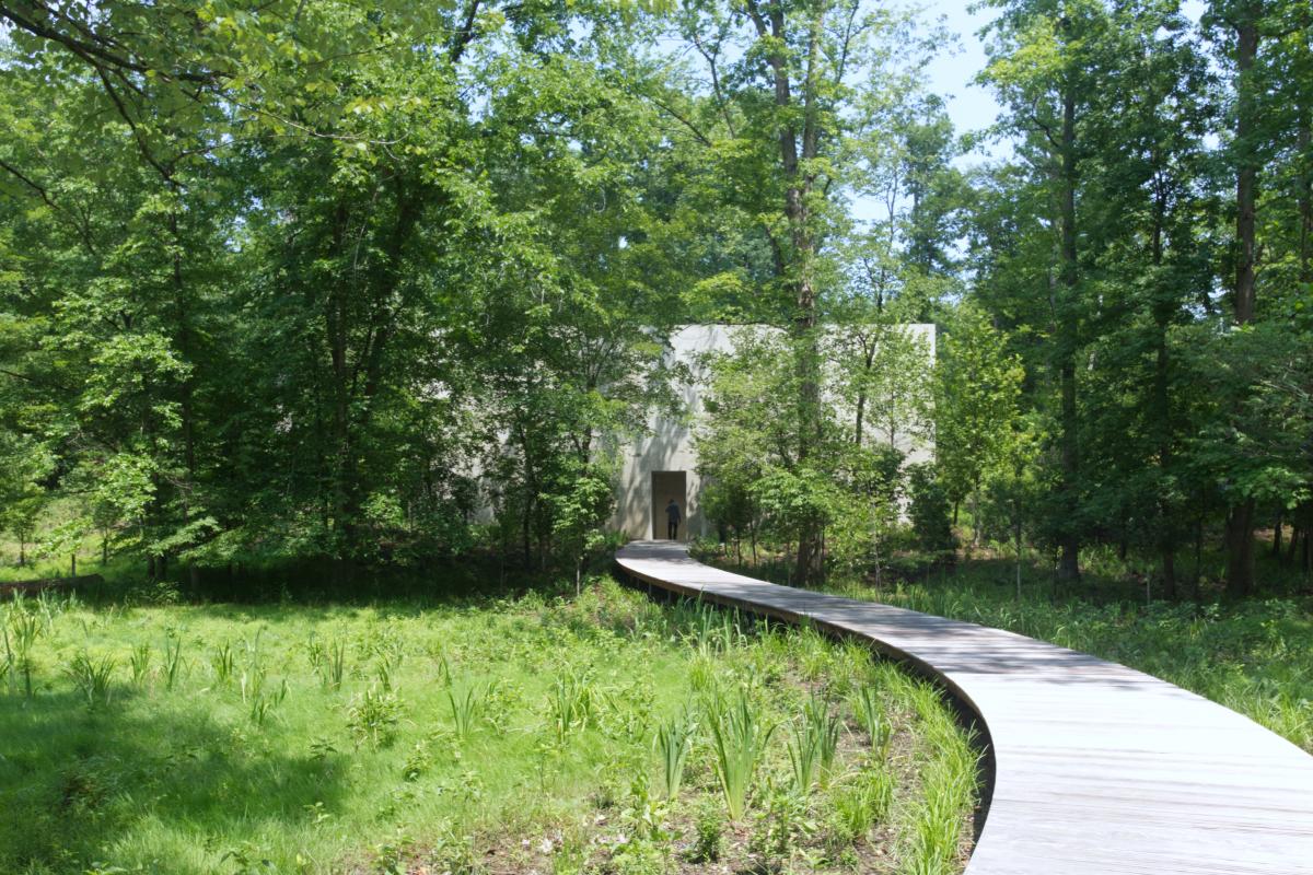 the building is covered with trees and green vegetation. (Photo by John Hill)  