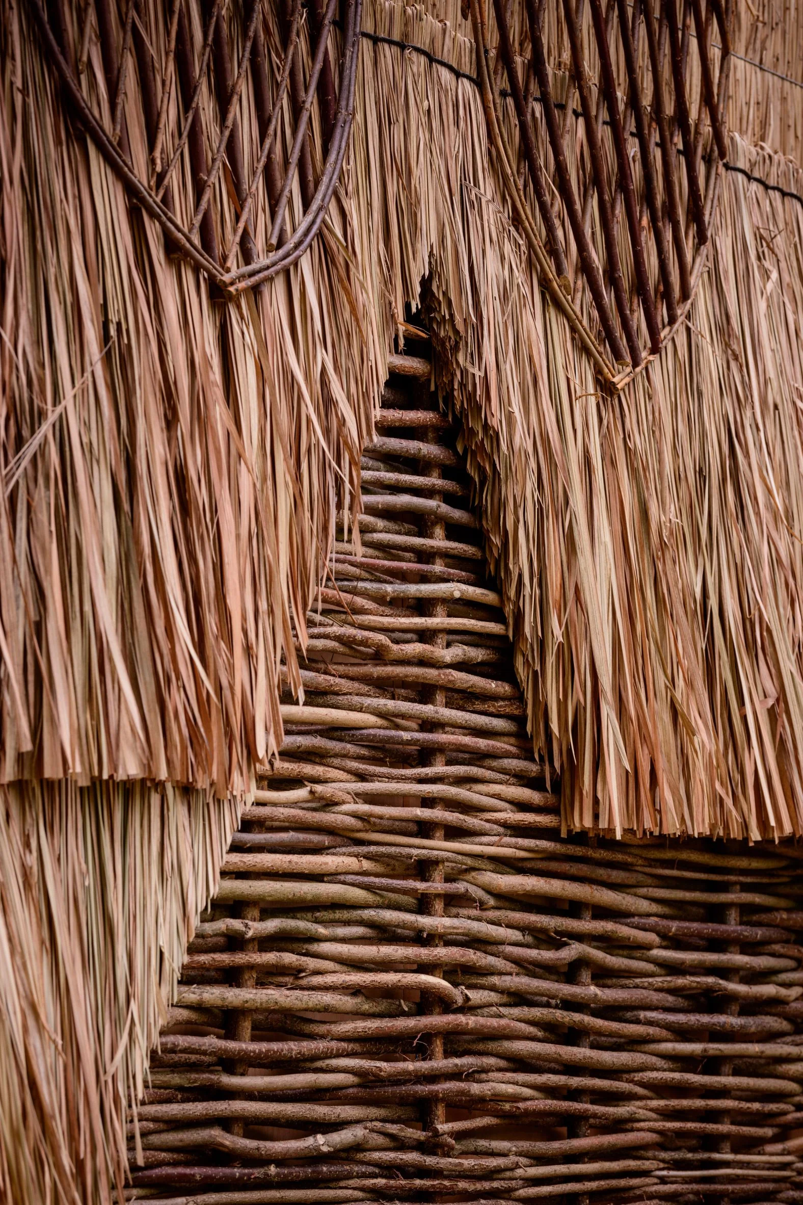 Wrapped in Enset Leaves, Ethiopia Cultural Inspiration through the False Banana Pavilion