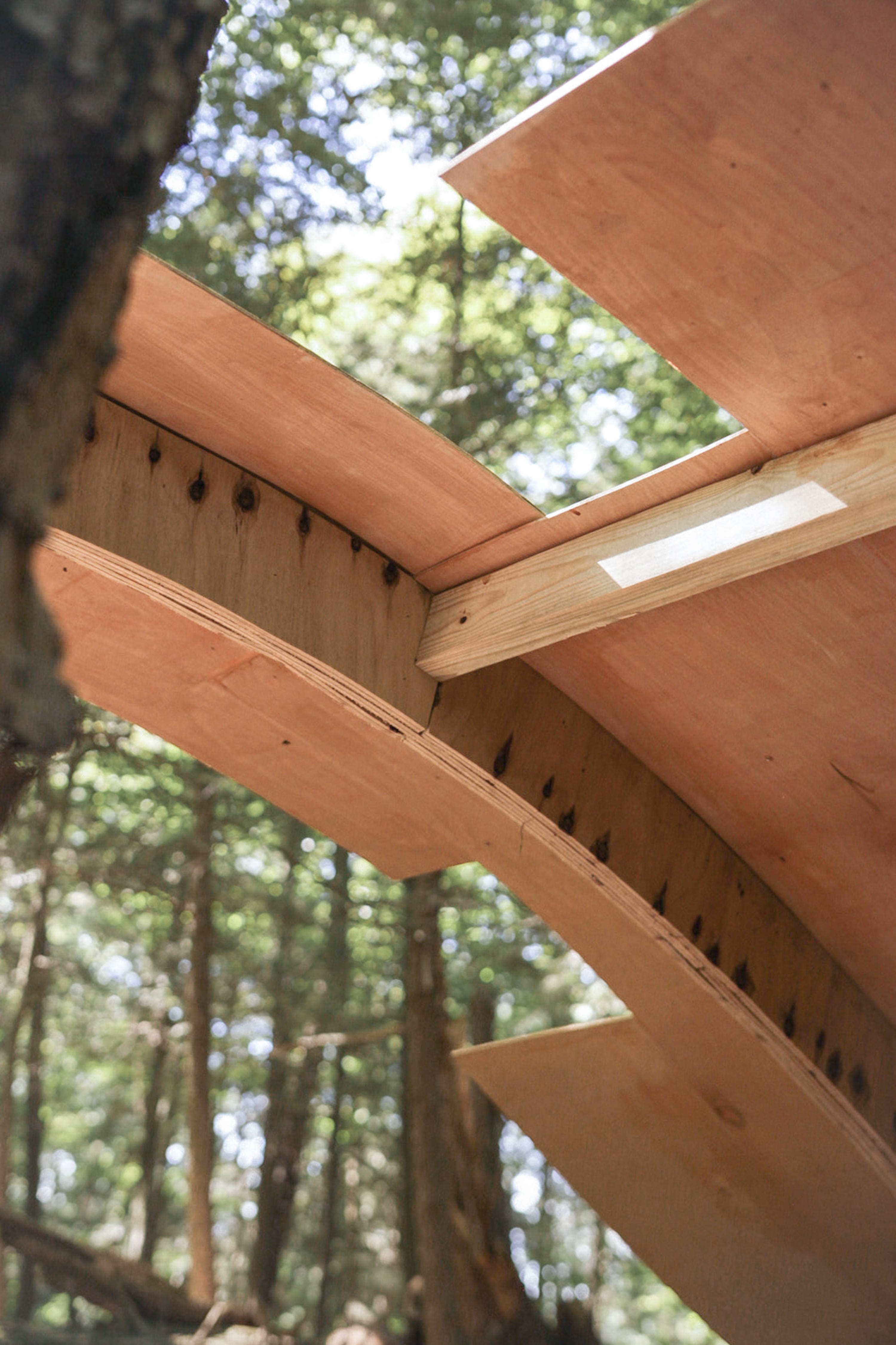 Arrangement of Plywood Boards in Peak A Boo Installation