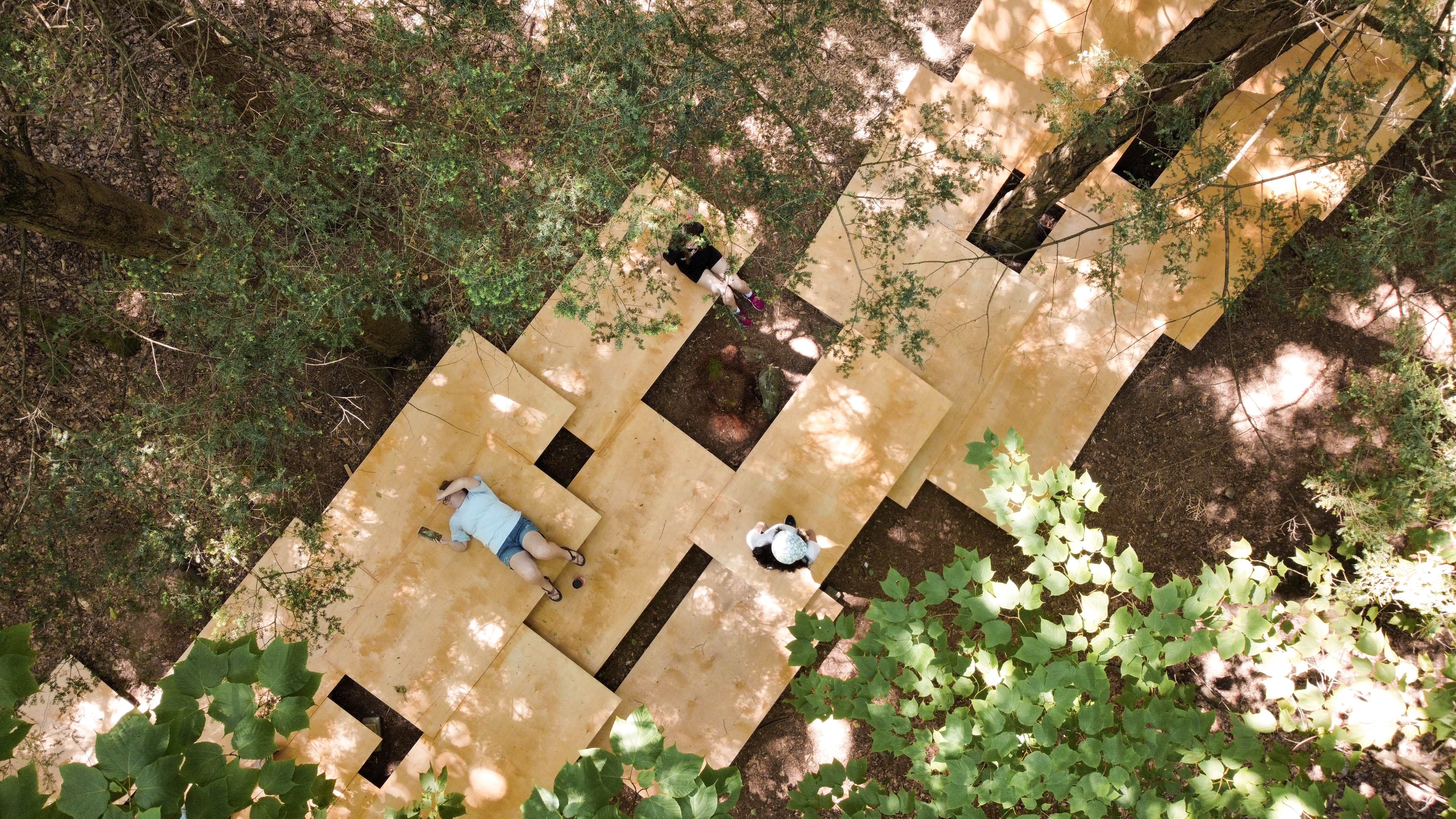 Arrangement of Plywood Boards in Peak A Boo Installation