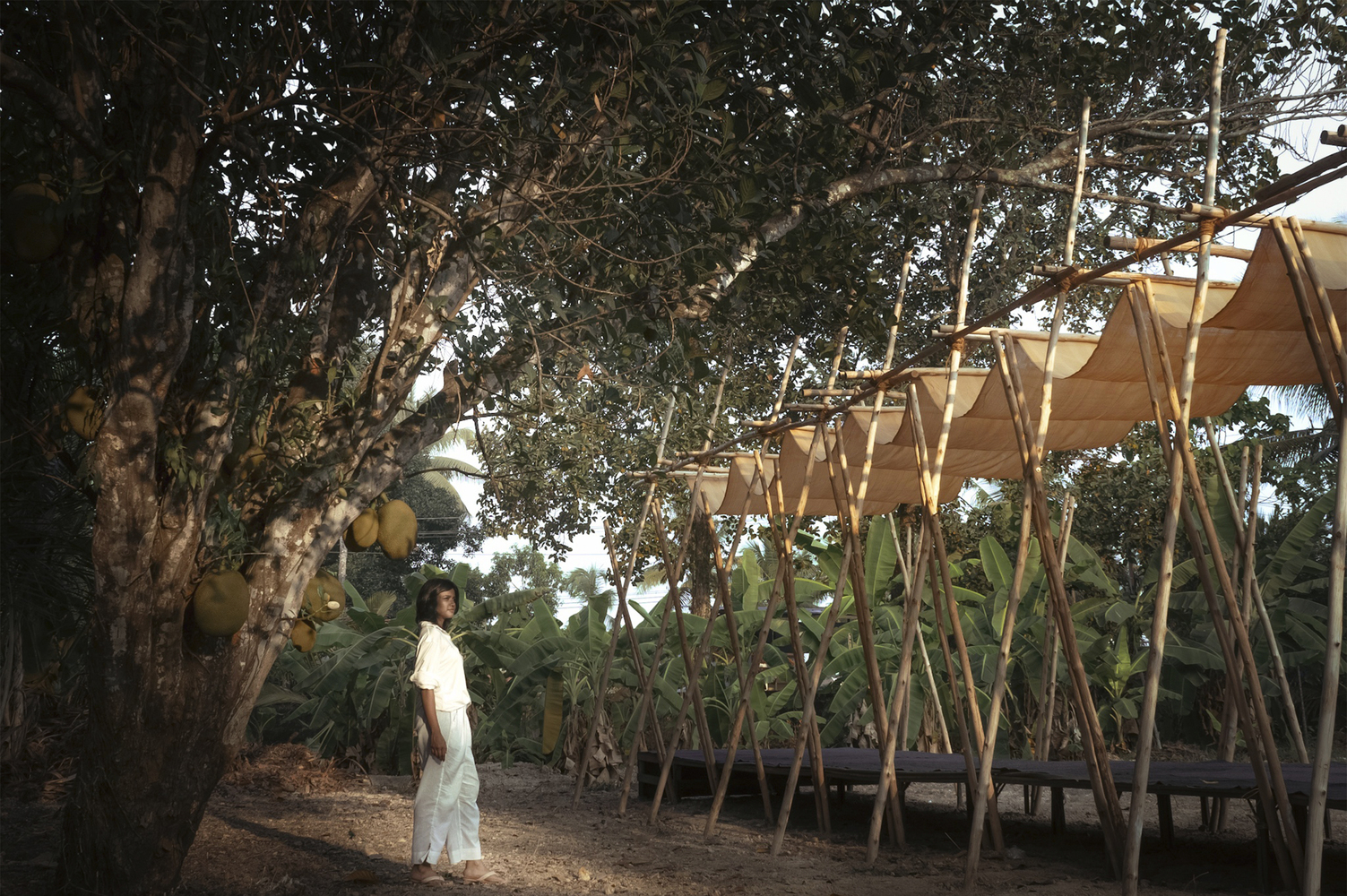 The pavilion is surrounded by trees