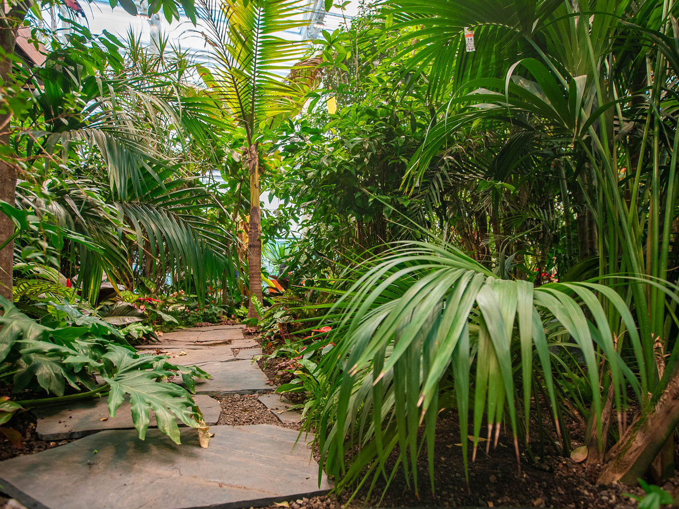 This garden is planted with almost 4000 green plants from various countries