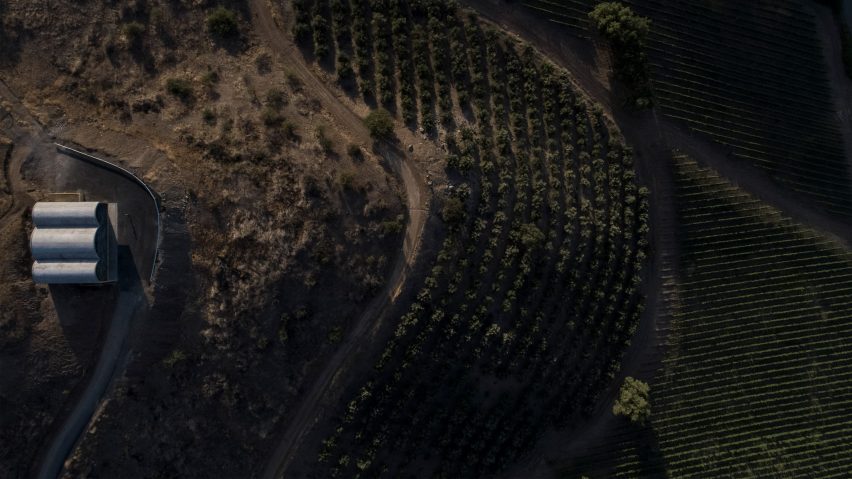 OFMA Vineyard Office