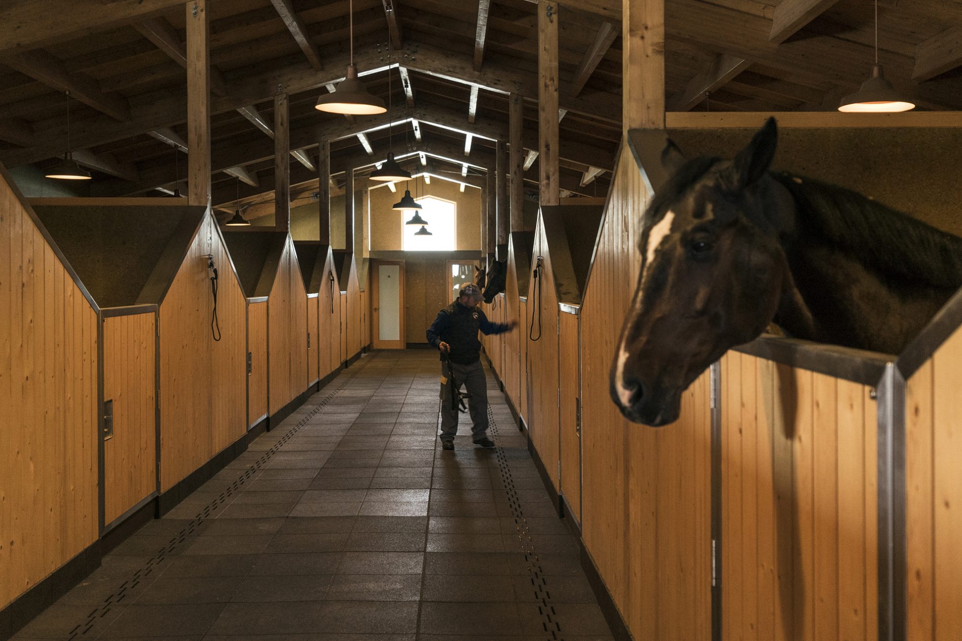 Paddocks are part of this equestrian center