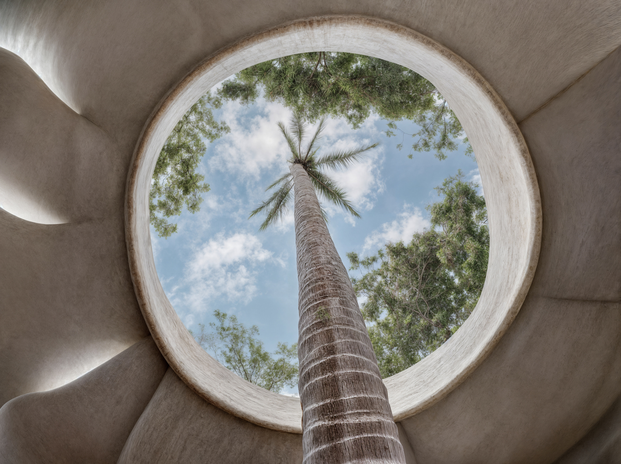 A Donut-shaped Holistic Center in the Forest that Adopts Bionic Principles