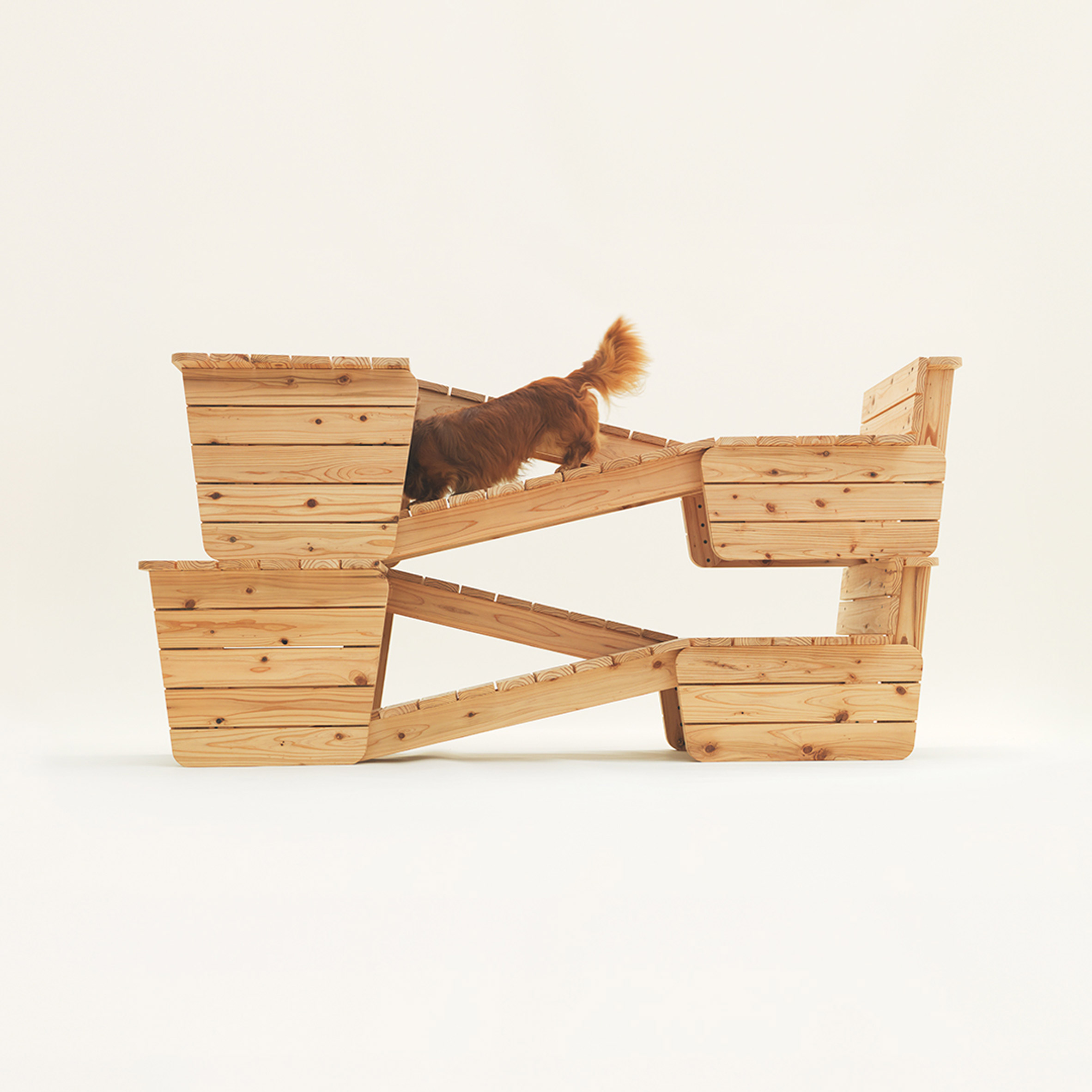 Unusual Cage Design in Architecture for Dogs Exhibition in Milan (cr: Hiroshi Yoda)