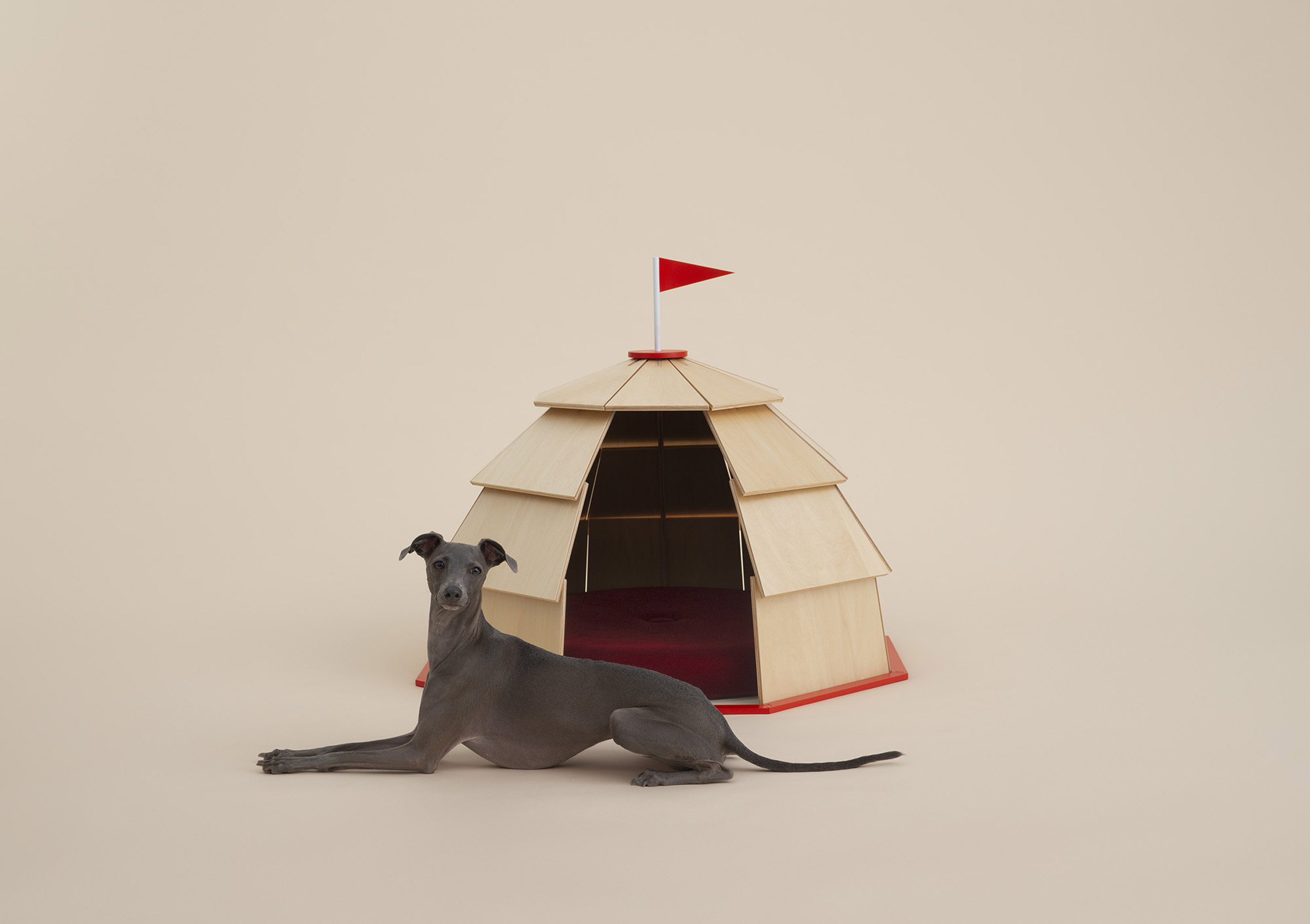 Unusual Cage Design in Architecture for Dogs Exhibition in Milan (cr: Hiroshi Yoda)