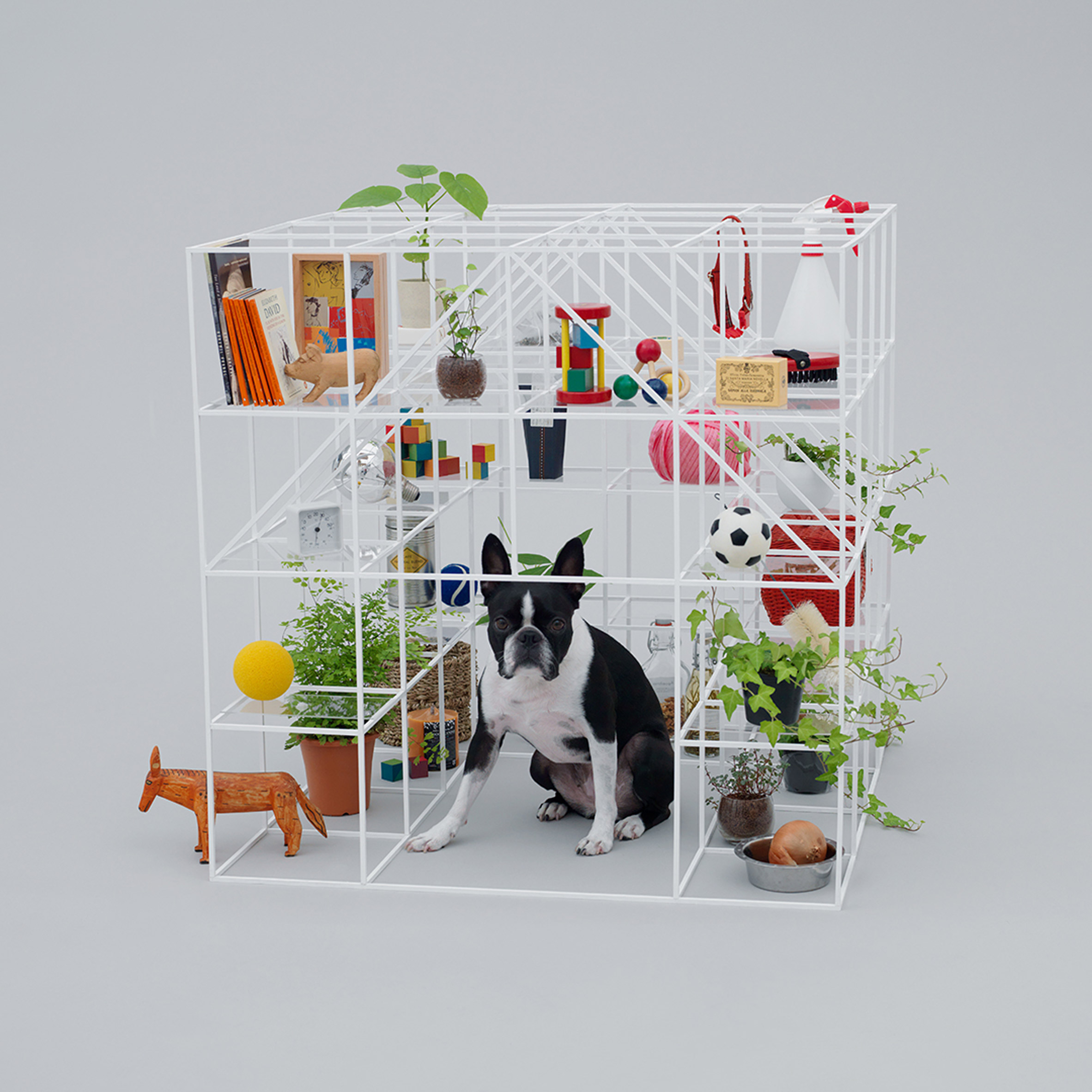 Unusual Cage Design in Architecture for Dogs Exhibition in Milan (cr: Hiroshi Yoda)