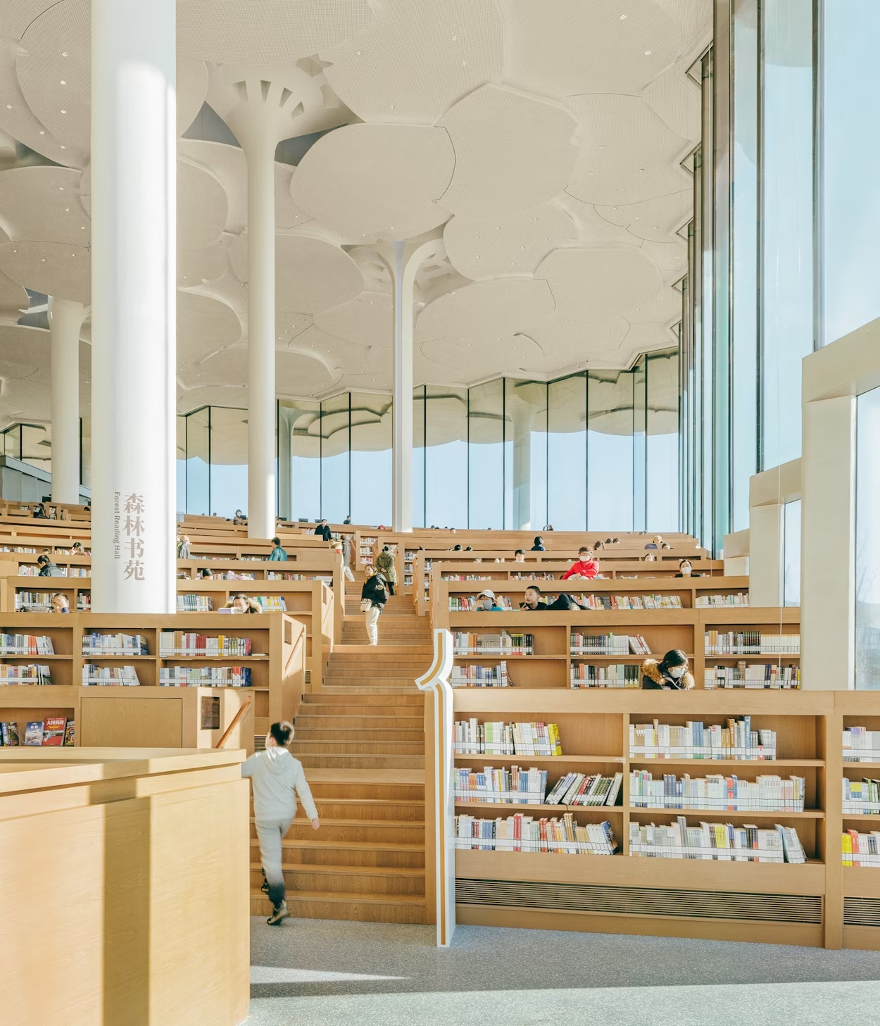 BEIJING LIBRARY_BOOKS