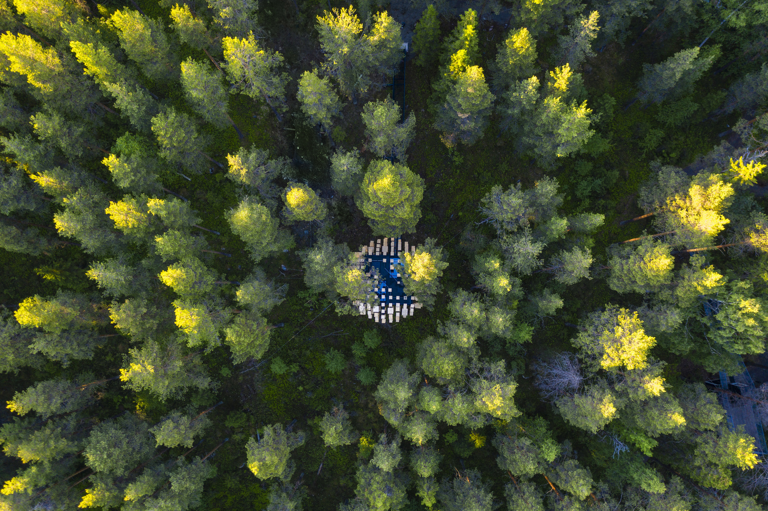 Biosphere by Bjarke Ingels Group (BIG) in the middle of nature