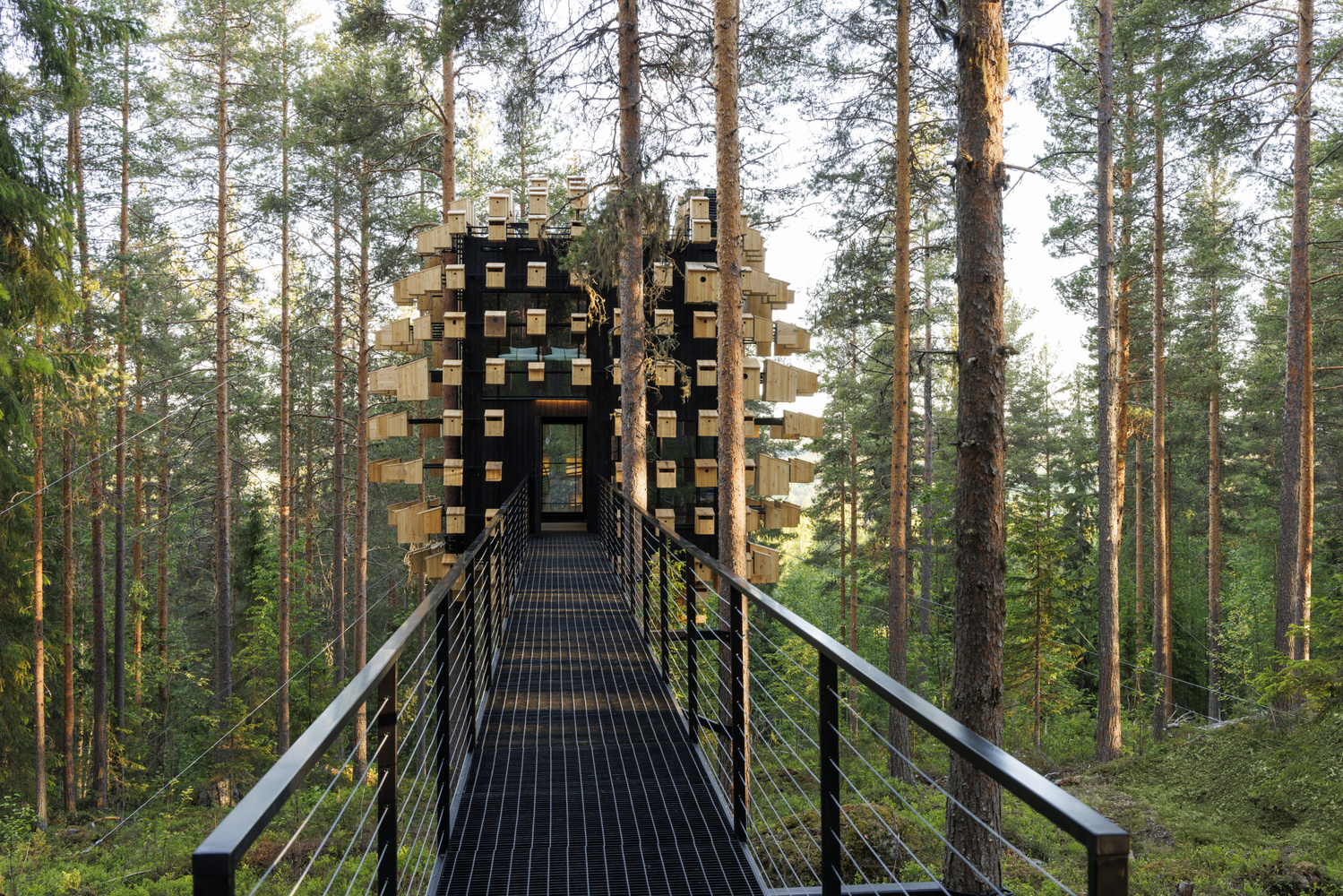 Biosphere cabin's sloping metal bridge