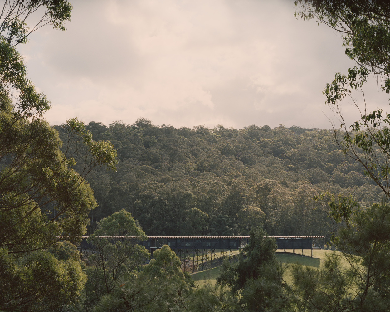 The forest surrounding the Bundanon Art Museum & Bridge