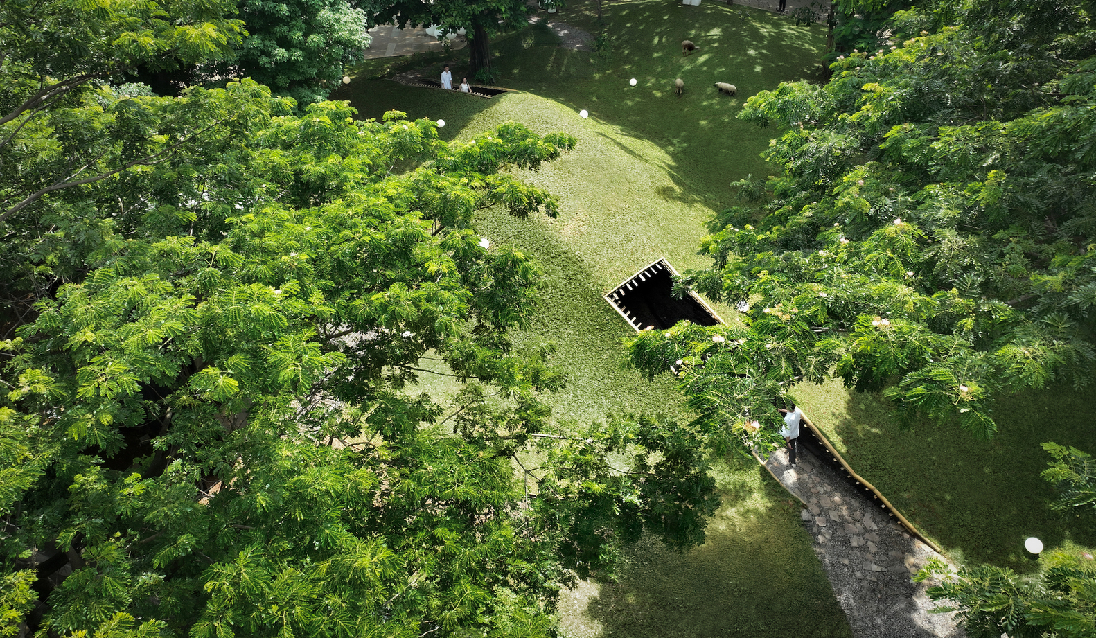 RAD+ar Engages Chickens with Design in 'Chicken Hero Pavilion' 