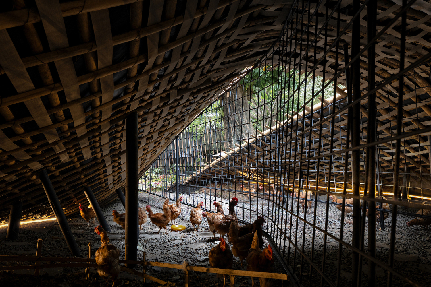 RAD+ar Engages Chickens with Design in 'Chicken Hero Pavilion' 