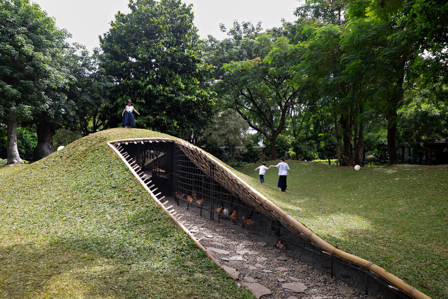 RAD+ar Engages Chickens with Design in 'Chicken Hero Pavilion' 