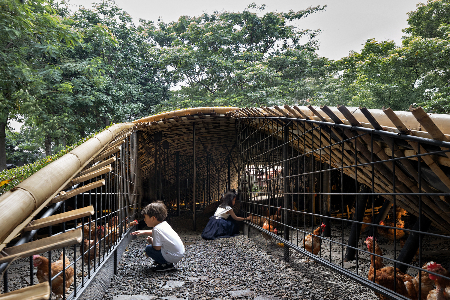 RAD+ar Engages Chickens with Design in 'Chicken Hero Pavilion' 