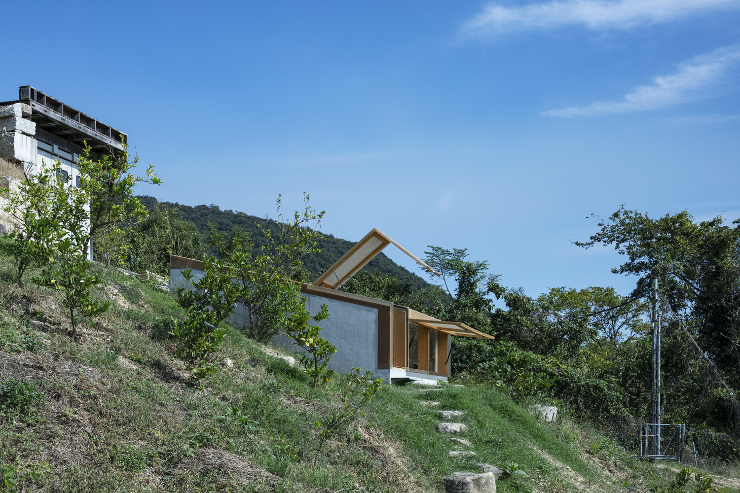 El Amigo view from below, Photo by Kenta Hasegawa