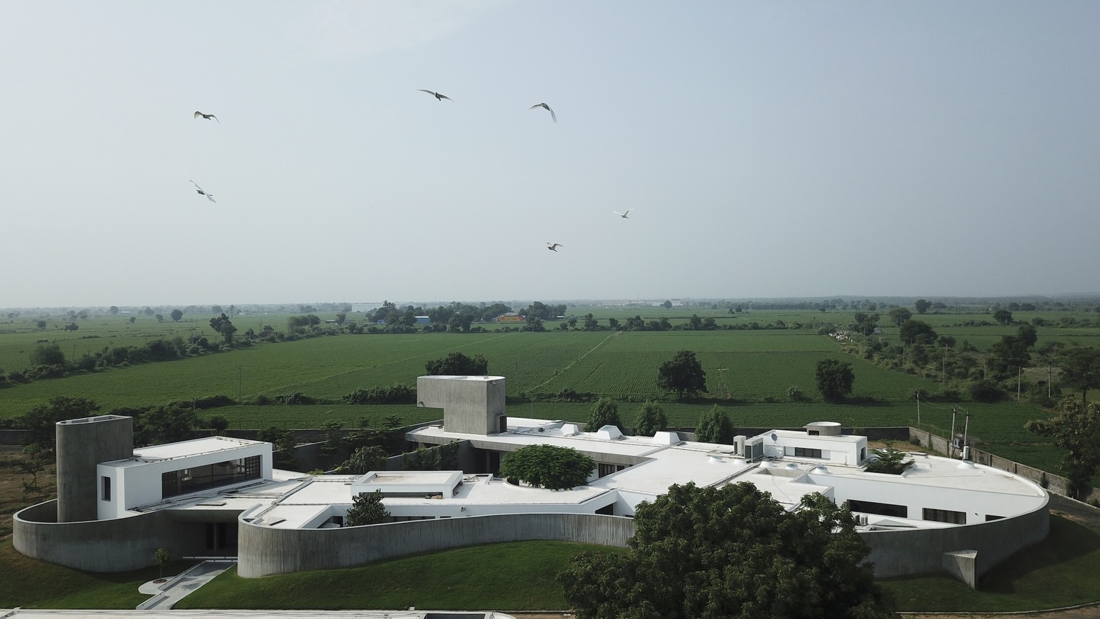 Above view Enclosure House, Photo by The Fishy Project