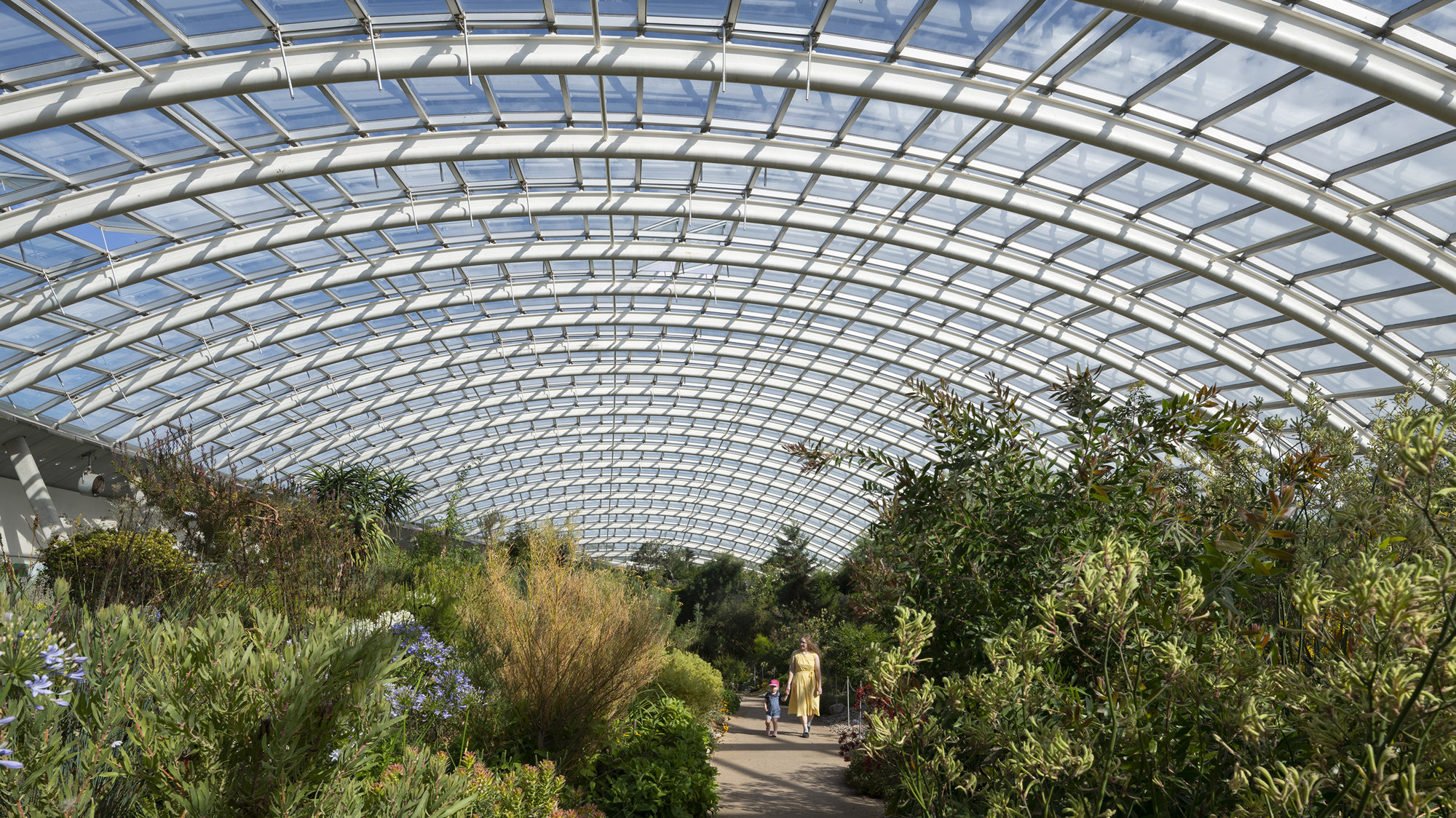 GLASSHOUSE_GARDEN