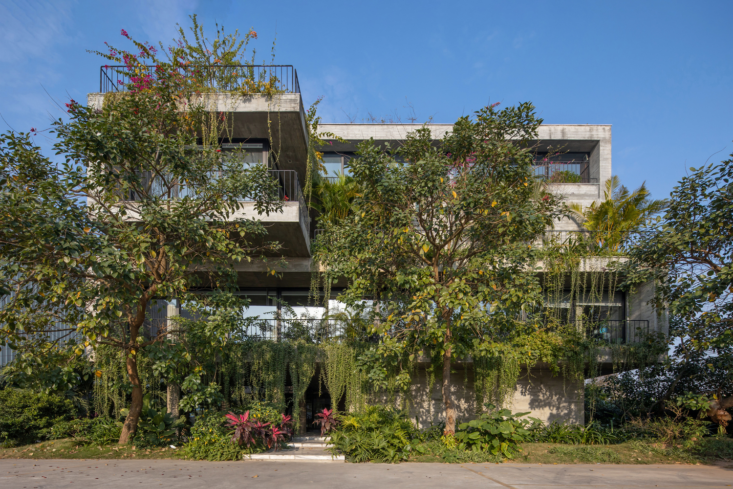 Front view of Meditation Office, Photo by Hoang Le