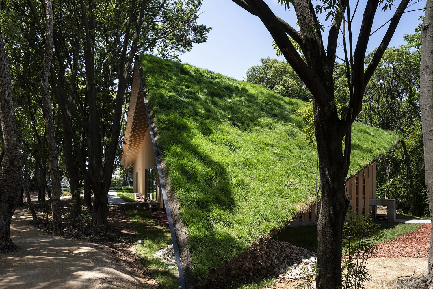 Green roof