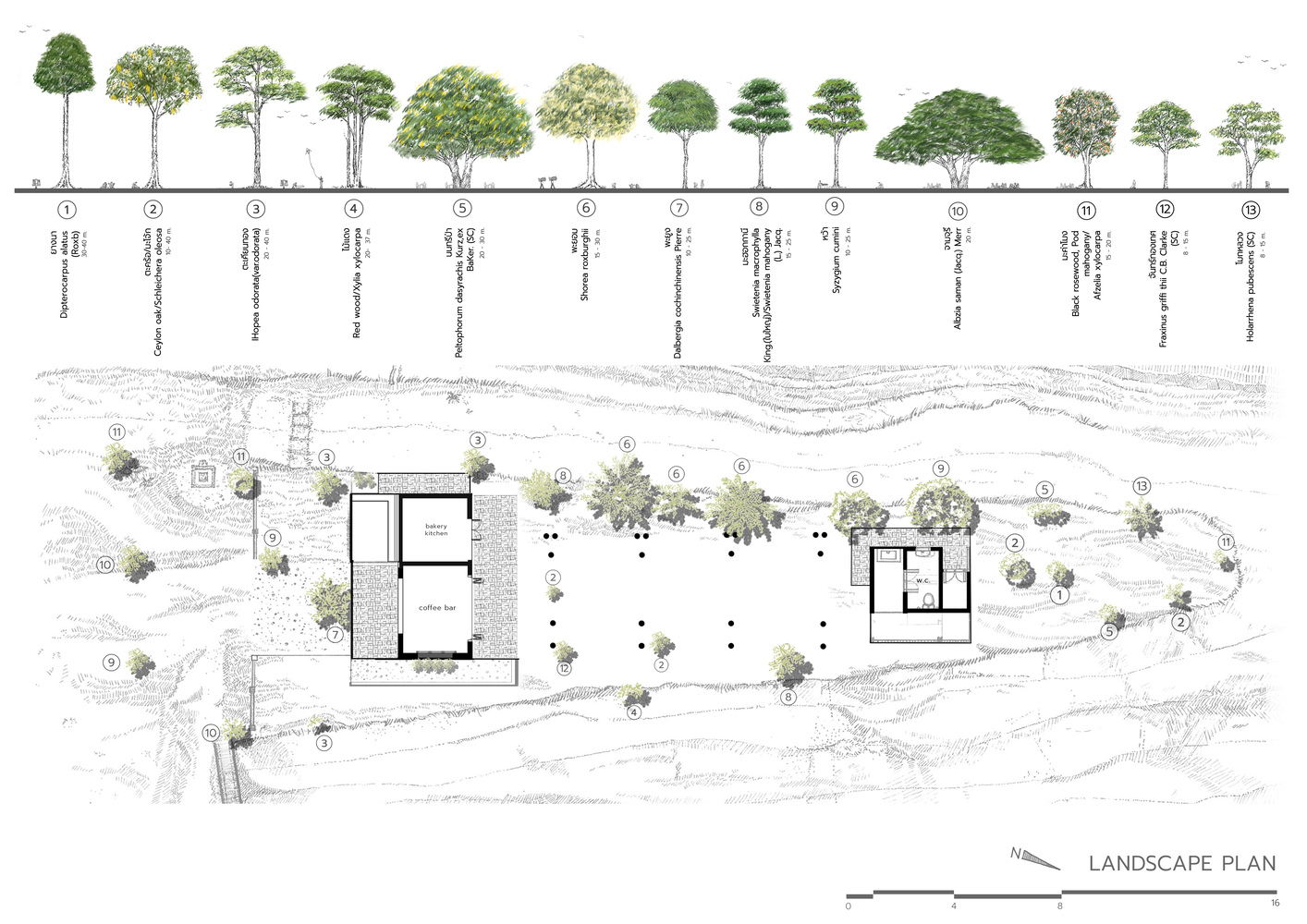 Landscape plan