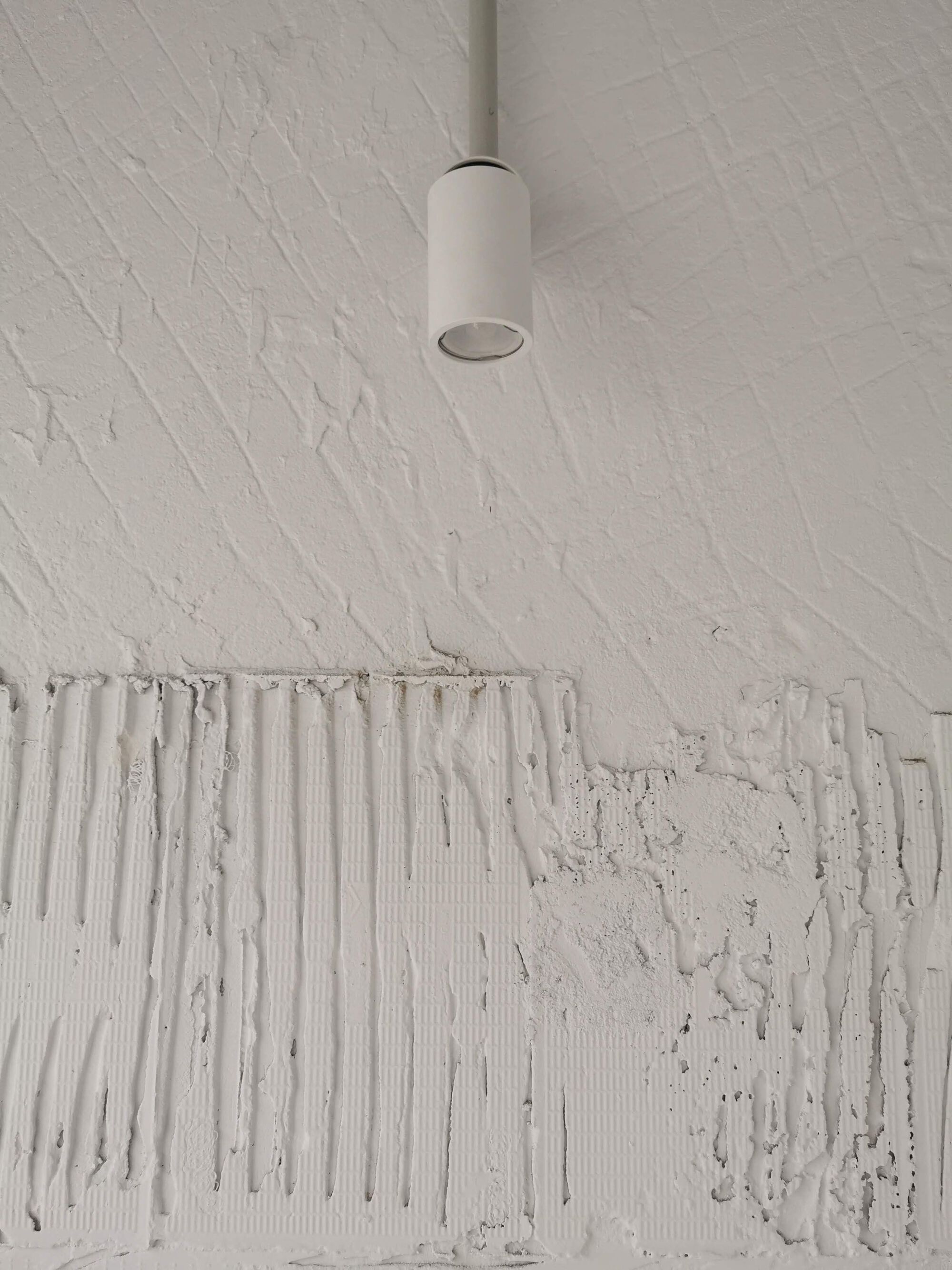 Materials of the Naked House