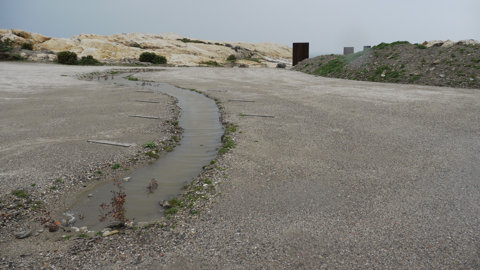 Nature at work Tudela-Culip Restoration Project, Source by EMF