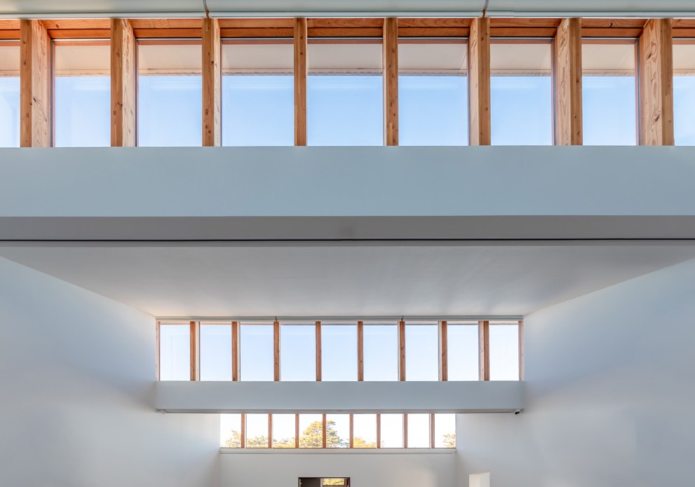 Windows and sunlight