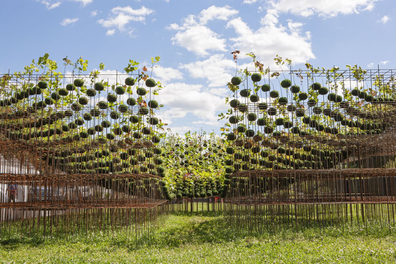 the concept of a miniature forest consisting of 1,200 forestry seed kokedamas