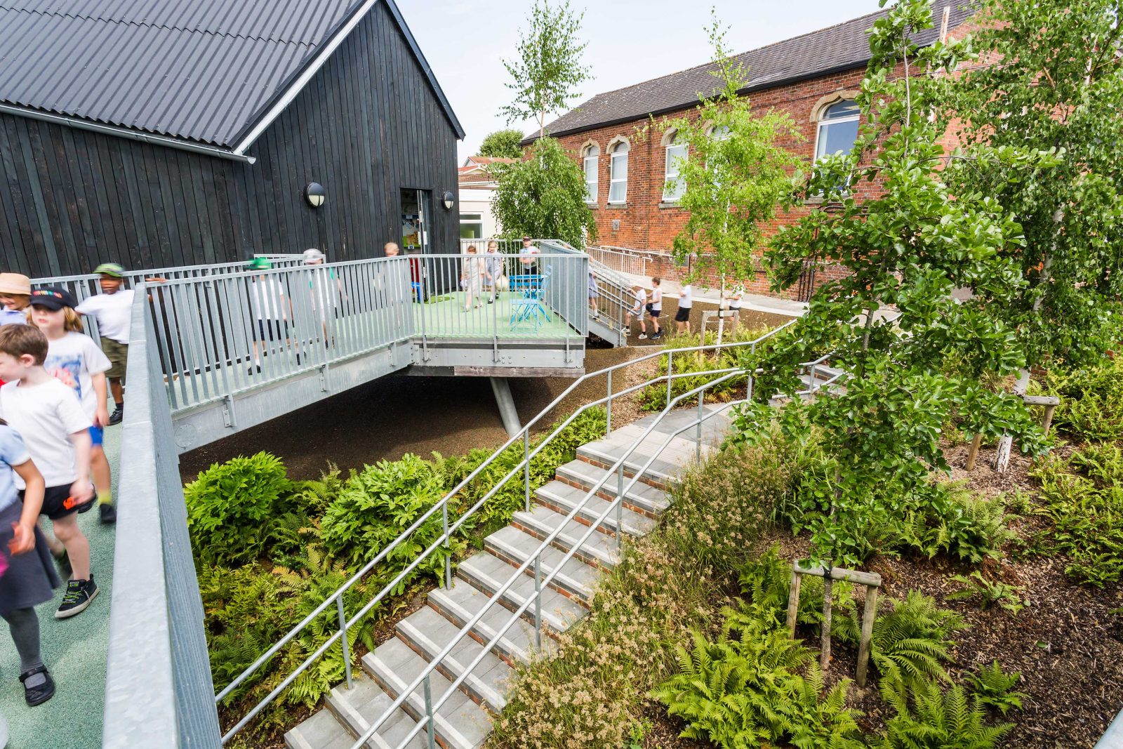 Library Deck of Primary School's 'Tree House', Photo by Tom Glendinning