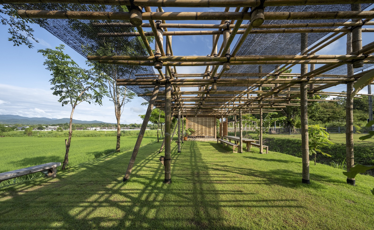 Bamboo pergola